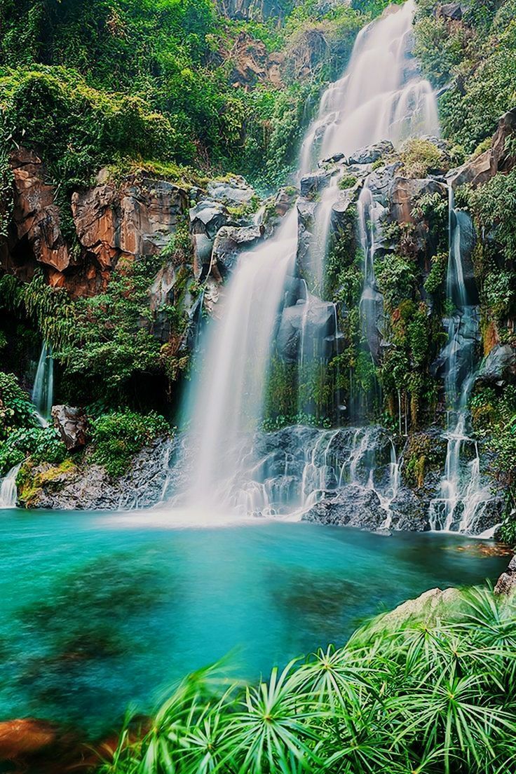 A waterfall in the middle of a lush green forest. - Waterfall