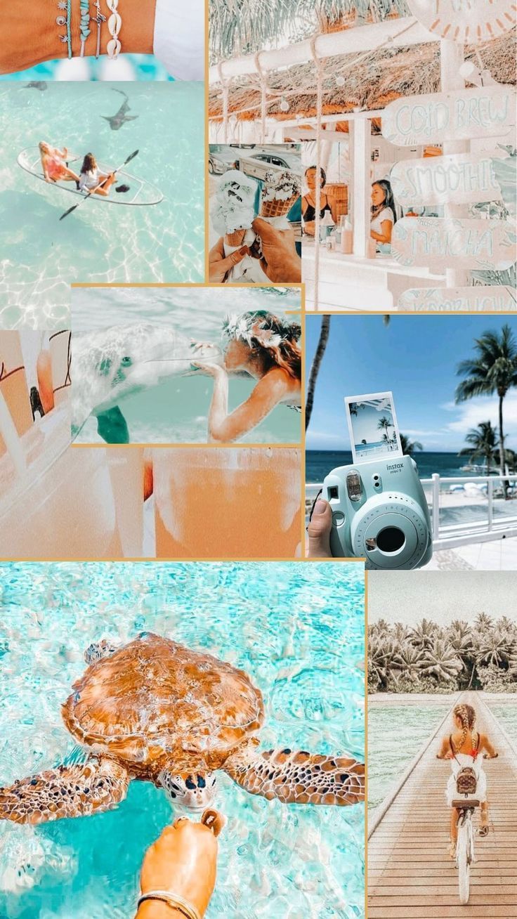 Summer vibes aesthetic blue coconut girl beach beachy hawaii seaside ocean collage wallpaper. Beachy wallpaper, Cool background for girls, Beachy aesthetic