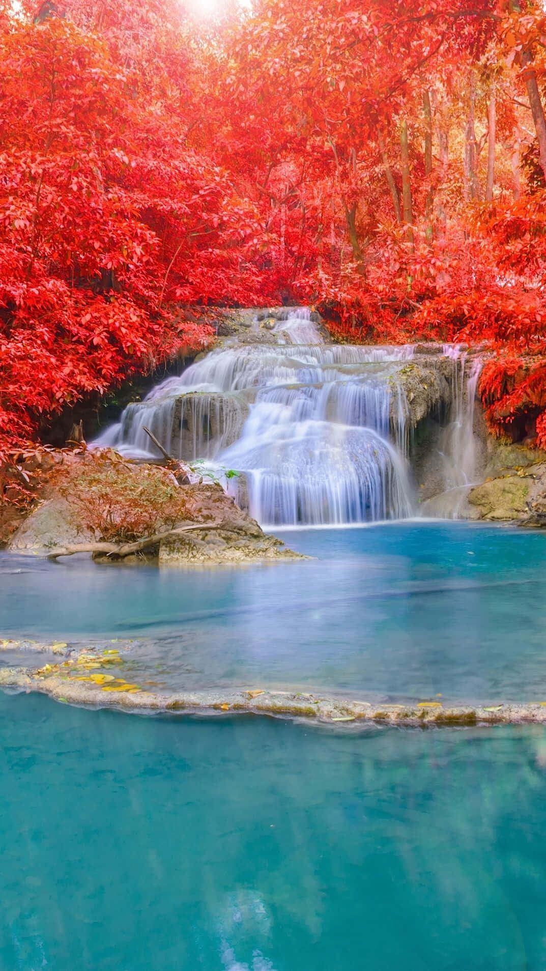 A waterfall in the forest with red leaves - Waterfall