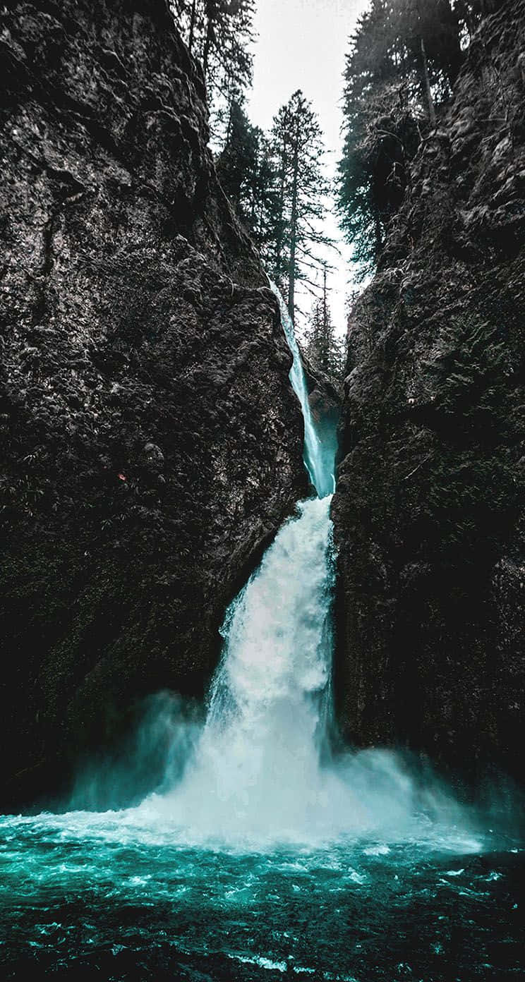 A waterfall tumbles into a pool of water surrounded by trees. - Waterfall