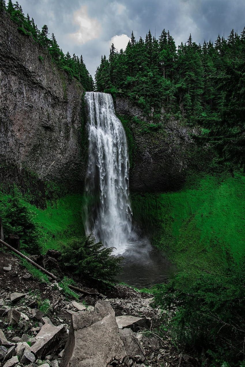 A waterfall is surrounded by trees and grass - Waterfall