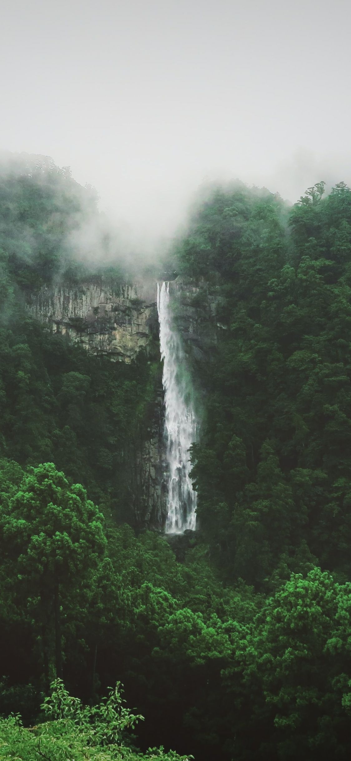 A waterfall surrounded by trees in the fog. - Waterfall