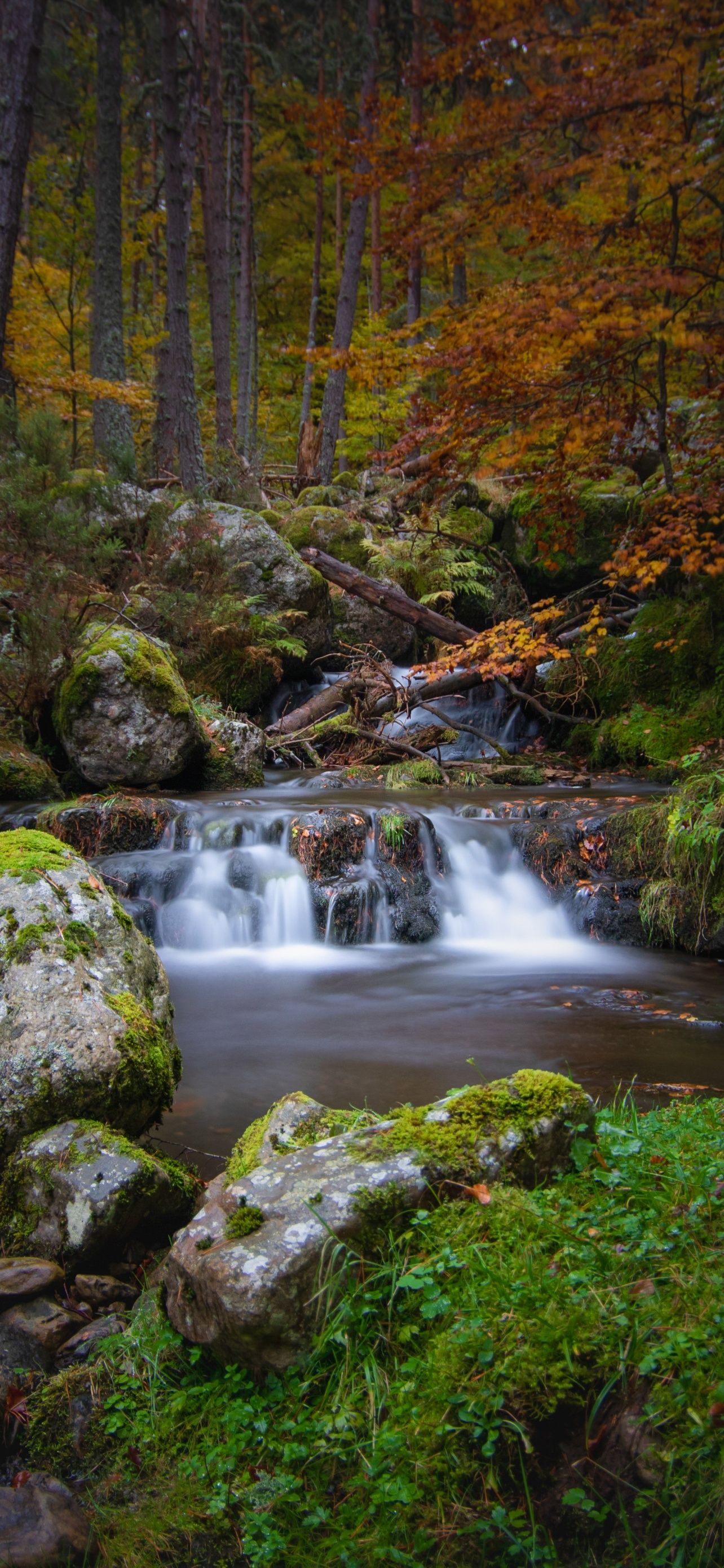 A small waterfall surrounded by mossy rocks and trees. - Waterfall