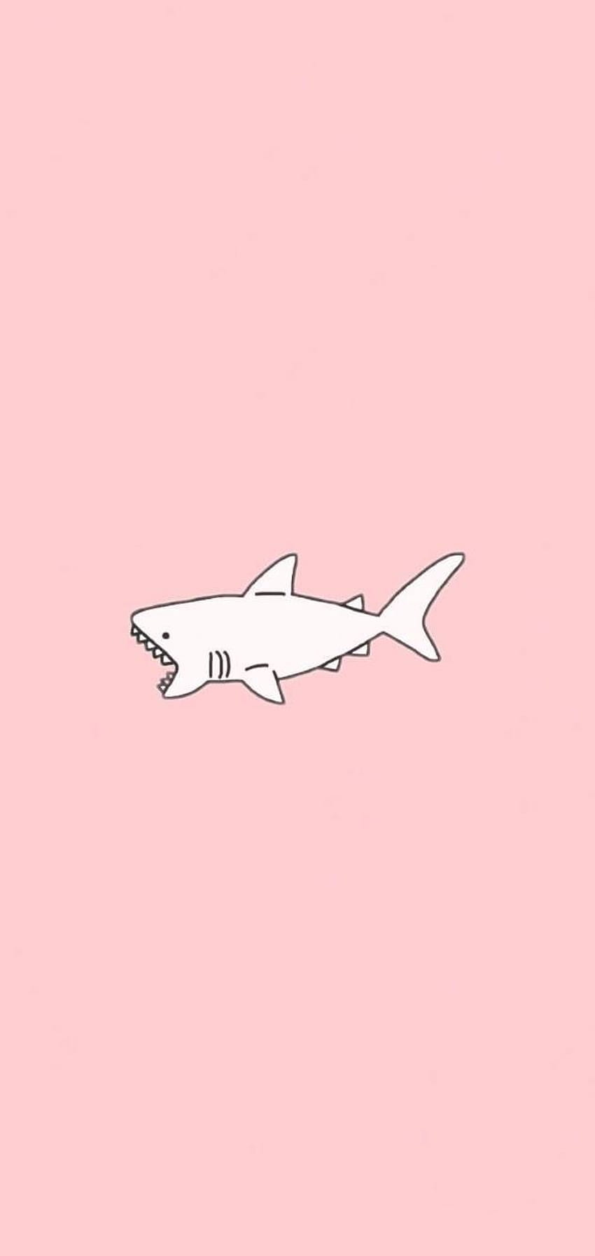 A shark on pink background with white lines - Fish