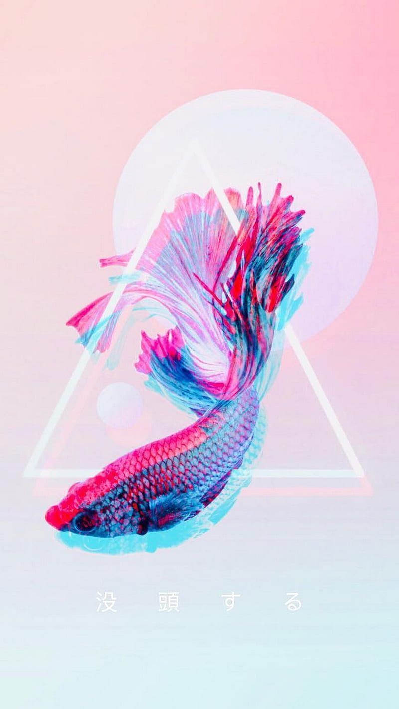 A colorful betta fish with the text 