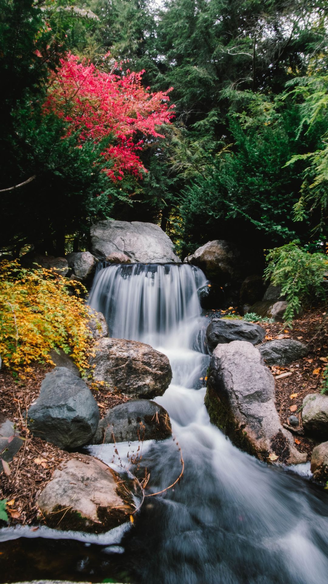 A waterfall in the middle of some trees - Waterfall