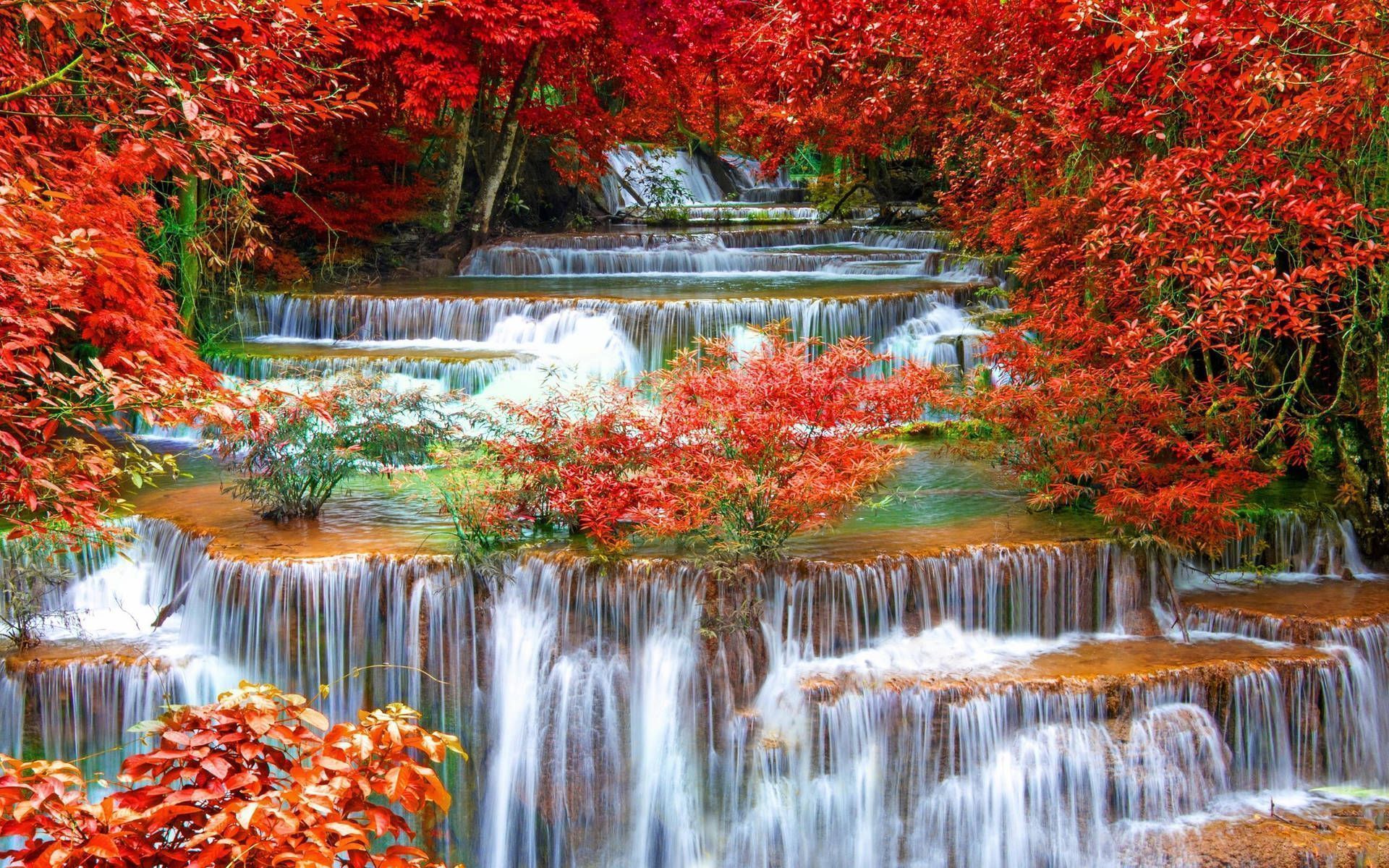 A waterfall surrounded by trees with red leaves - Waterfall