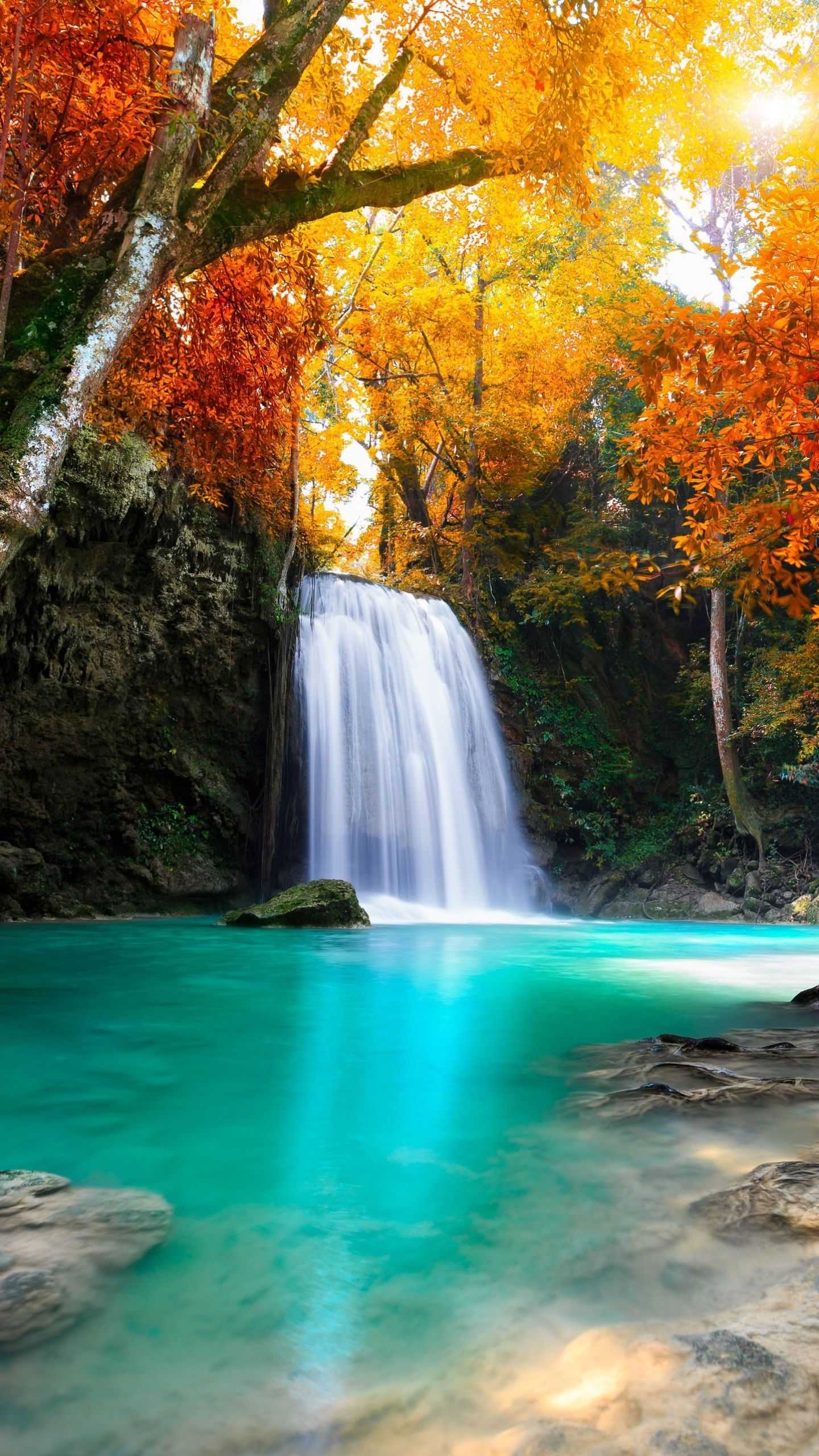 A waterfall surrounded by trees with orange leaves - Waterfall