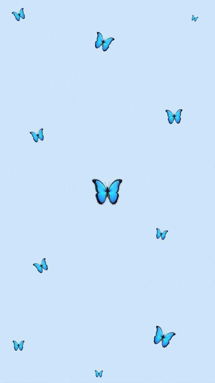 A blue butterfly pattern on the wall - Baby