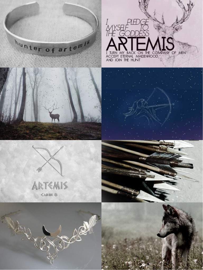 A collection of images that i found on pinterest - Artemis