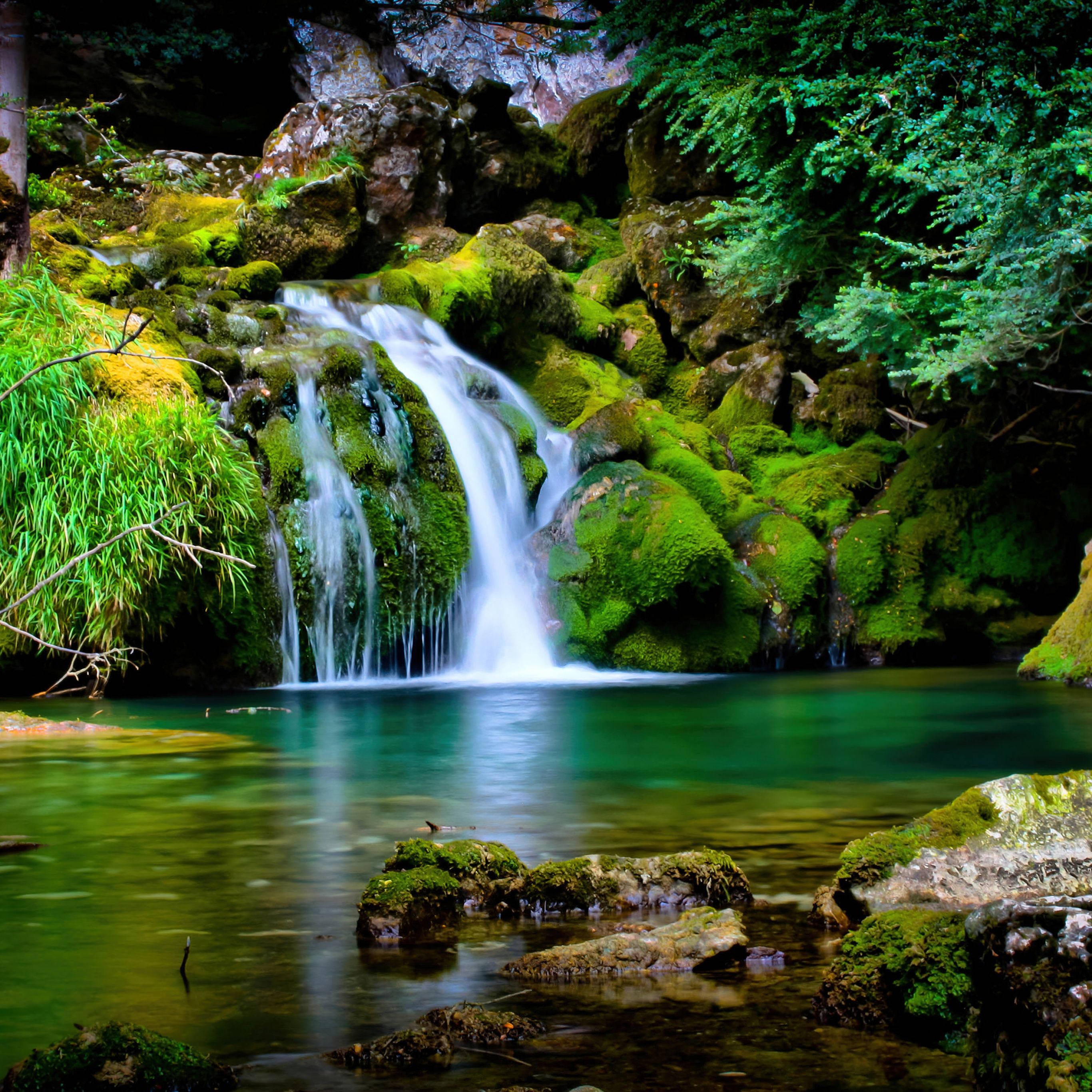 A waterfall surrounded by mossy rocks and greenery. - Waterfall