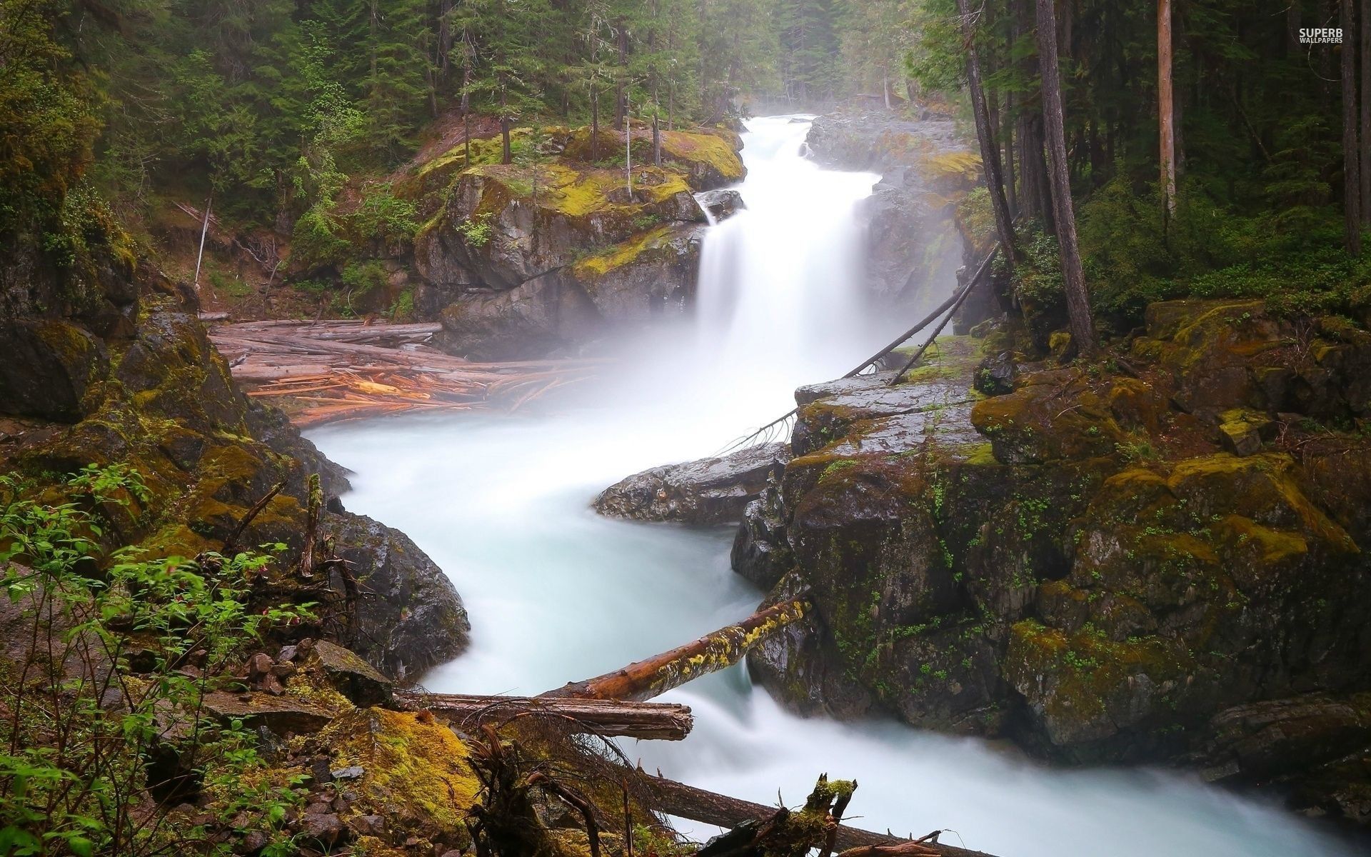 A waterfall in the middle of some trees - Waterfall