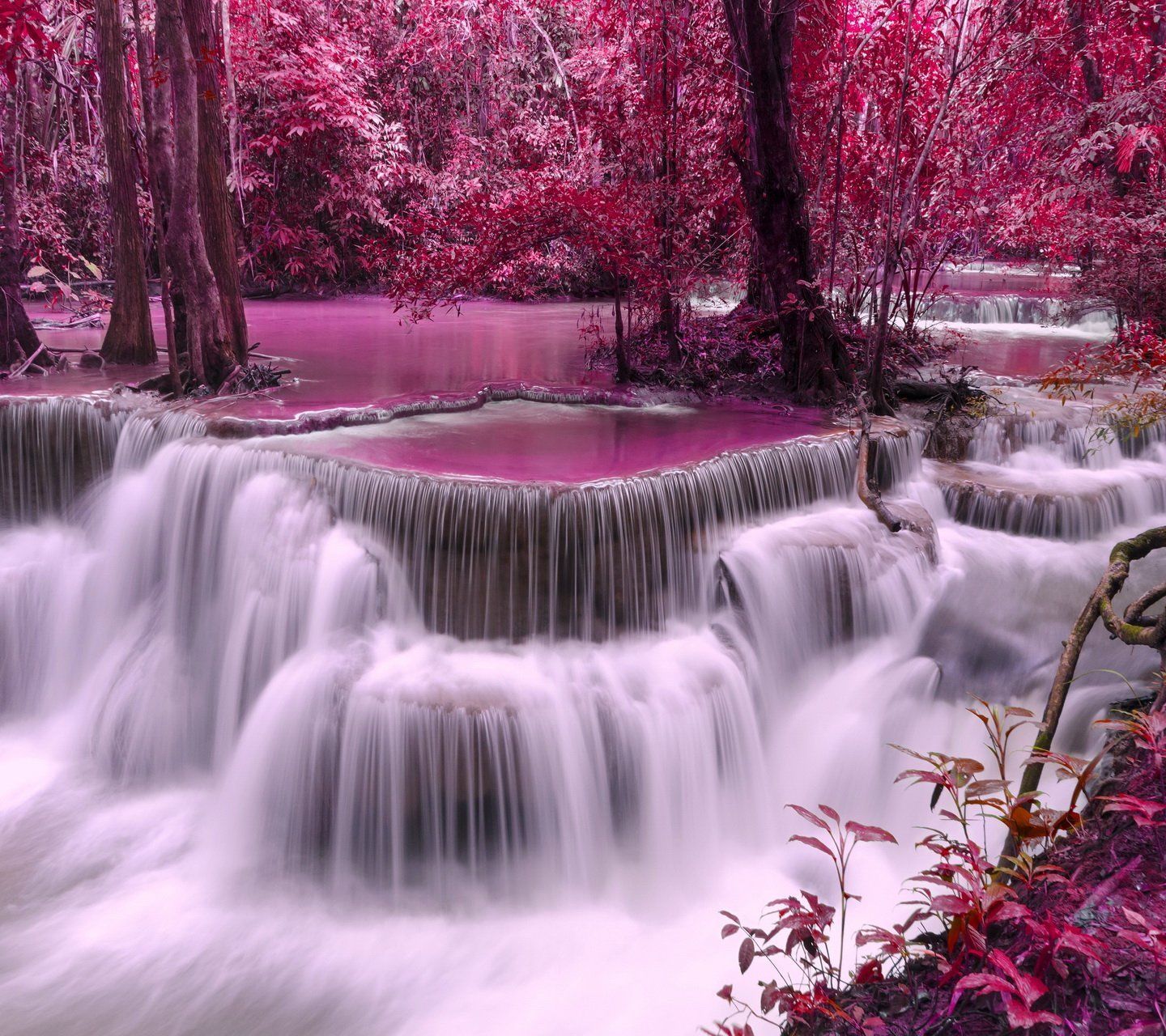 A waterfall in the middle of some trees - Waterfall