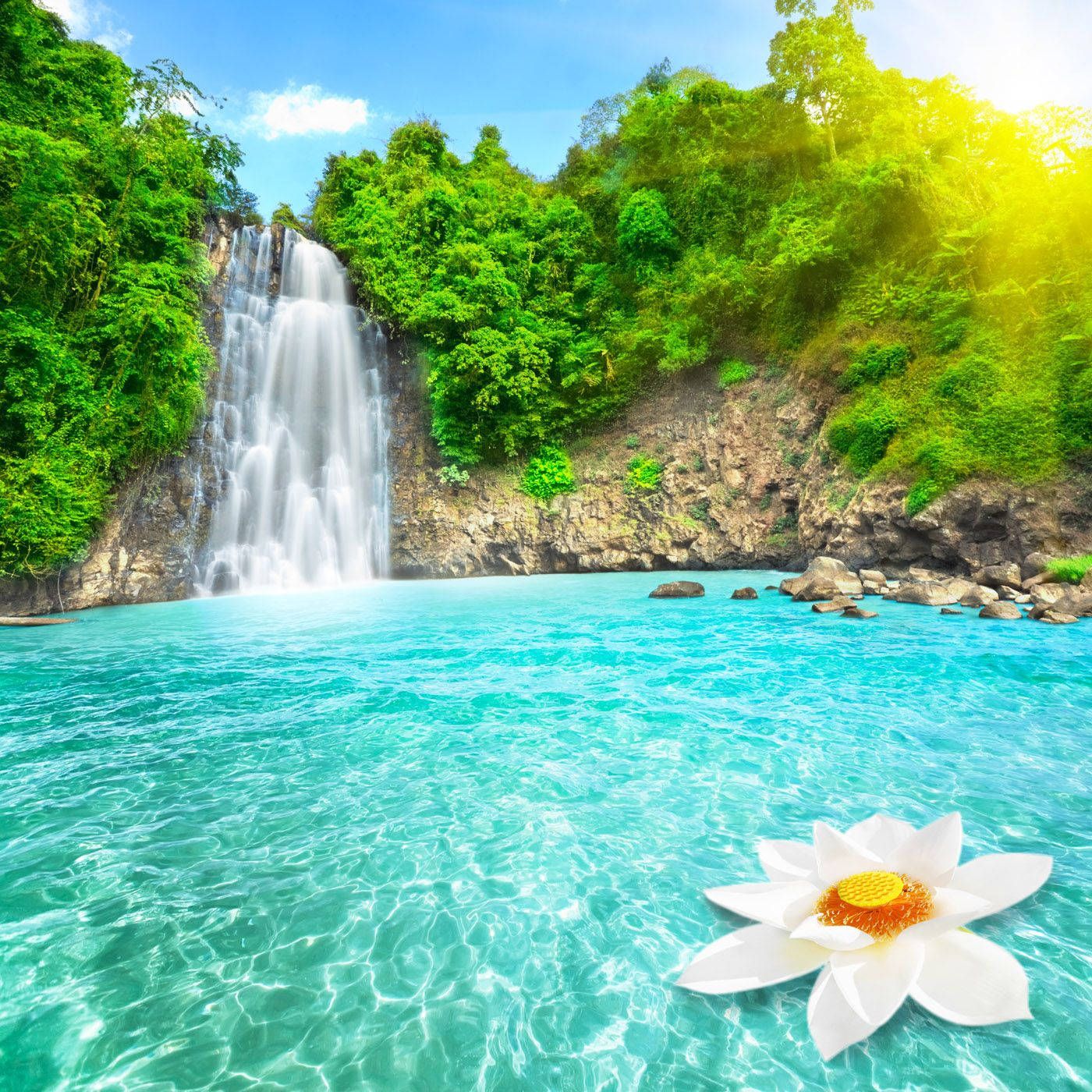 A waterfall with white flowers in the foreground - Waterfall