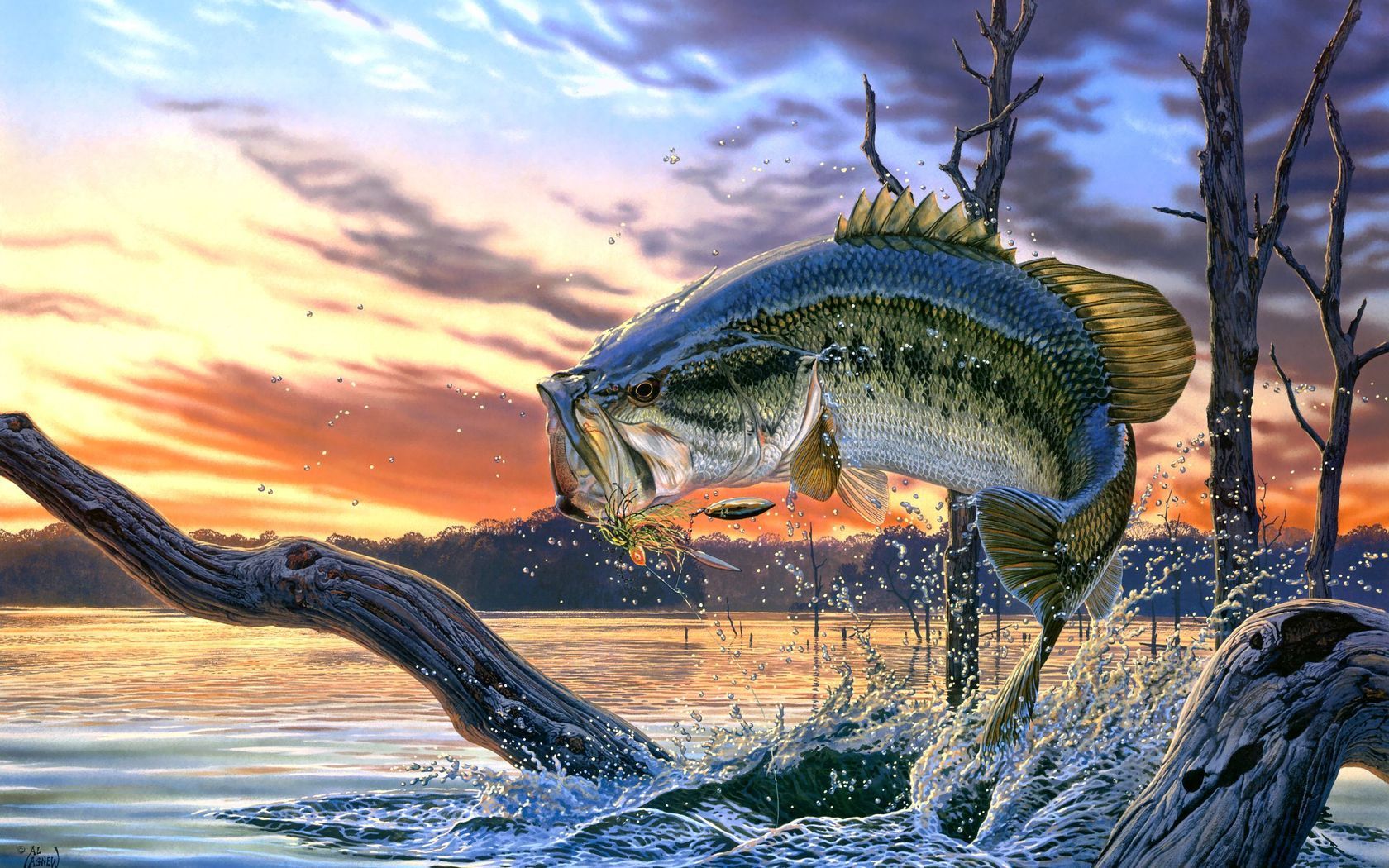 Fishing Wallpaper for Computer