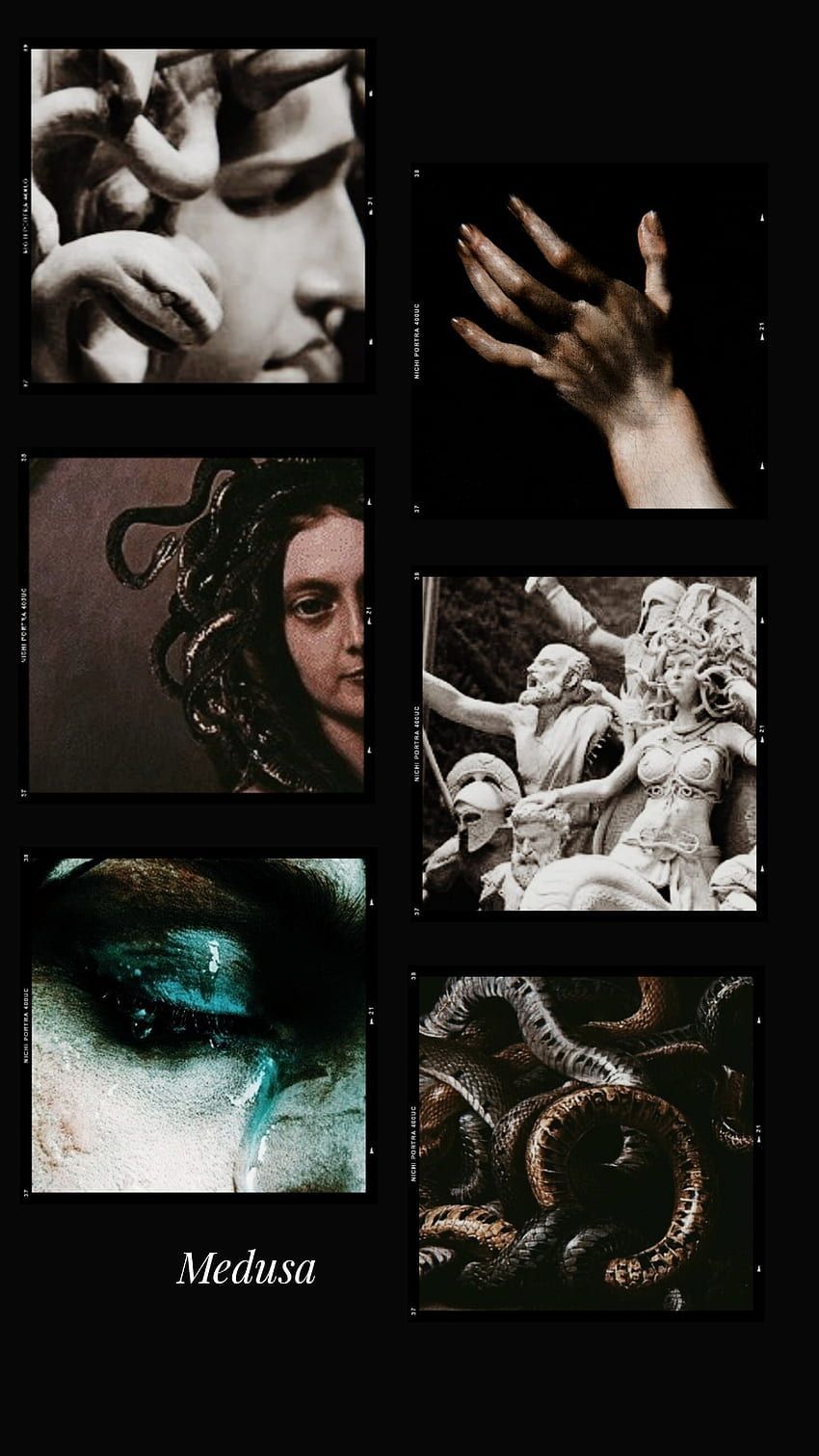 Medusa collage with images of her head, hands, and snakes - Medusa