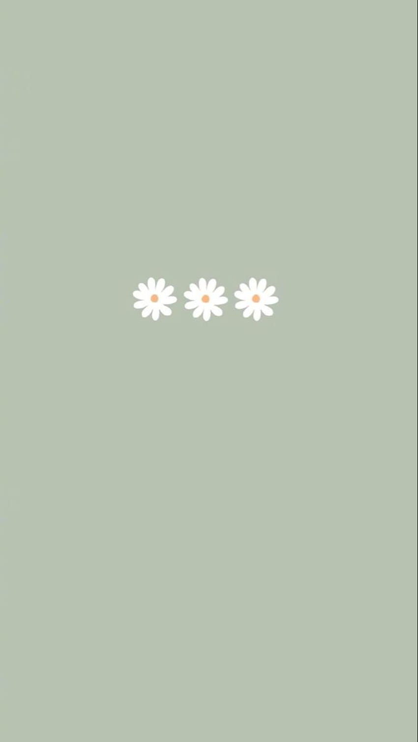 The daisy wallpaper - Green