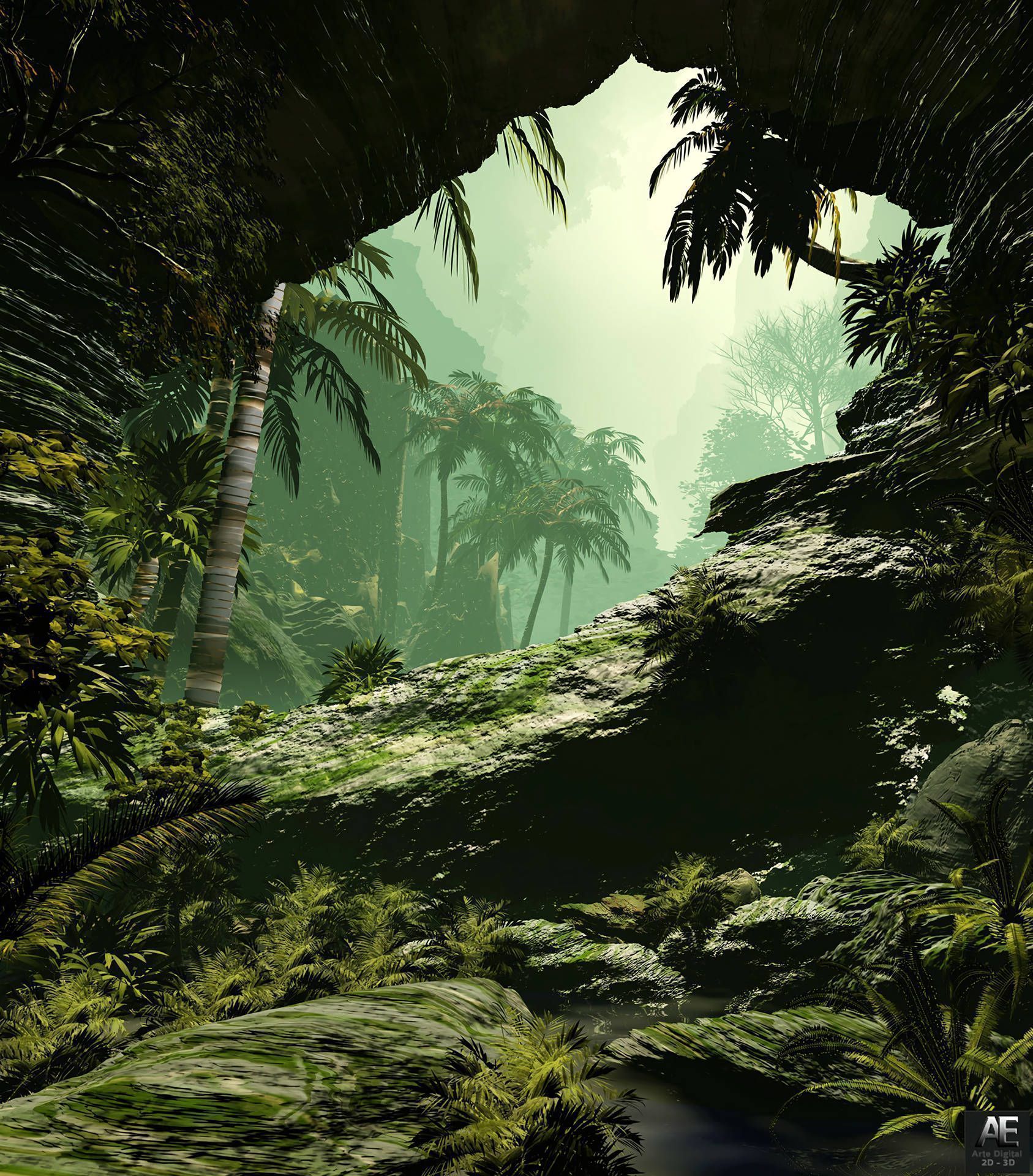 A cave with palm trees and water - Jungle