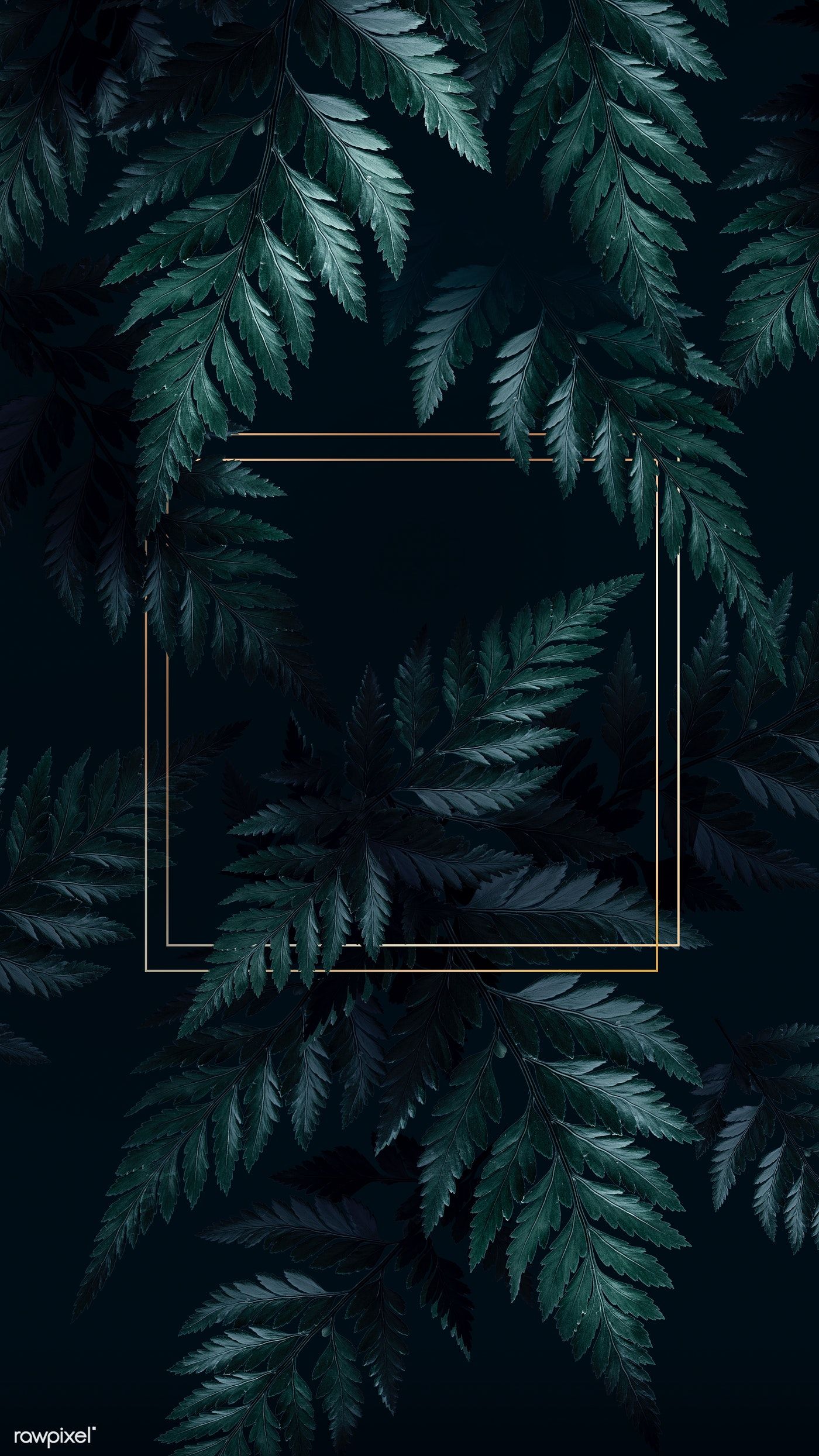 Aesthetic tropical background with a golden frame / Adj / Hw - Jungle