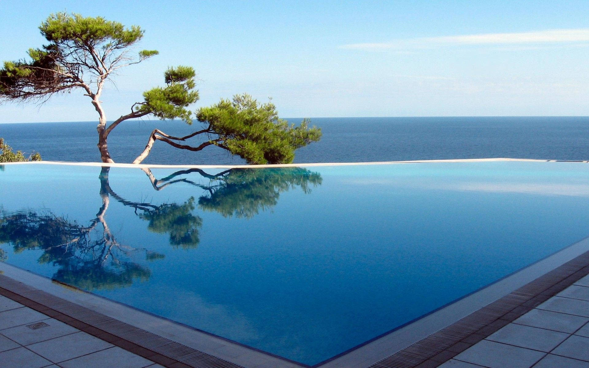 A large pool with a tree and the ocean in the background. - Swimming pool