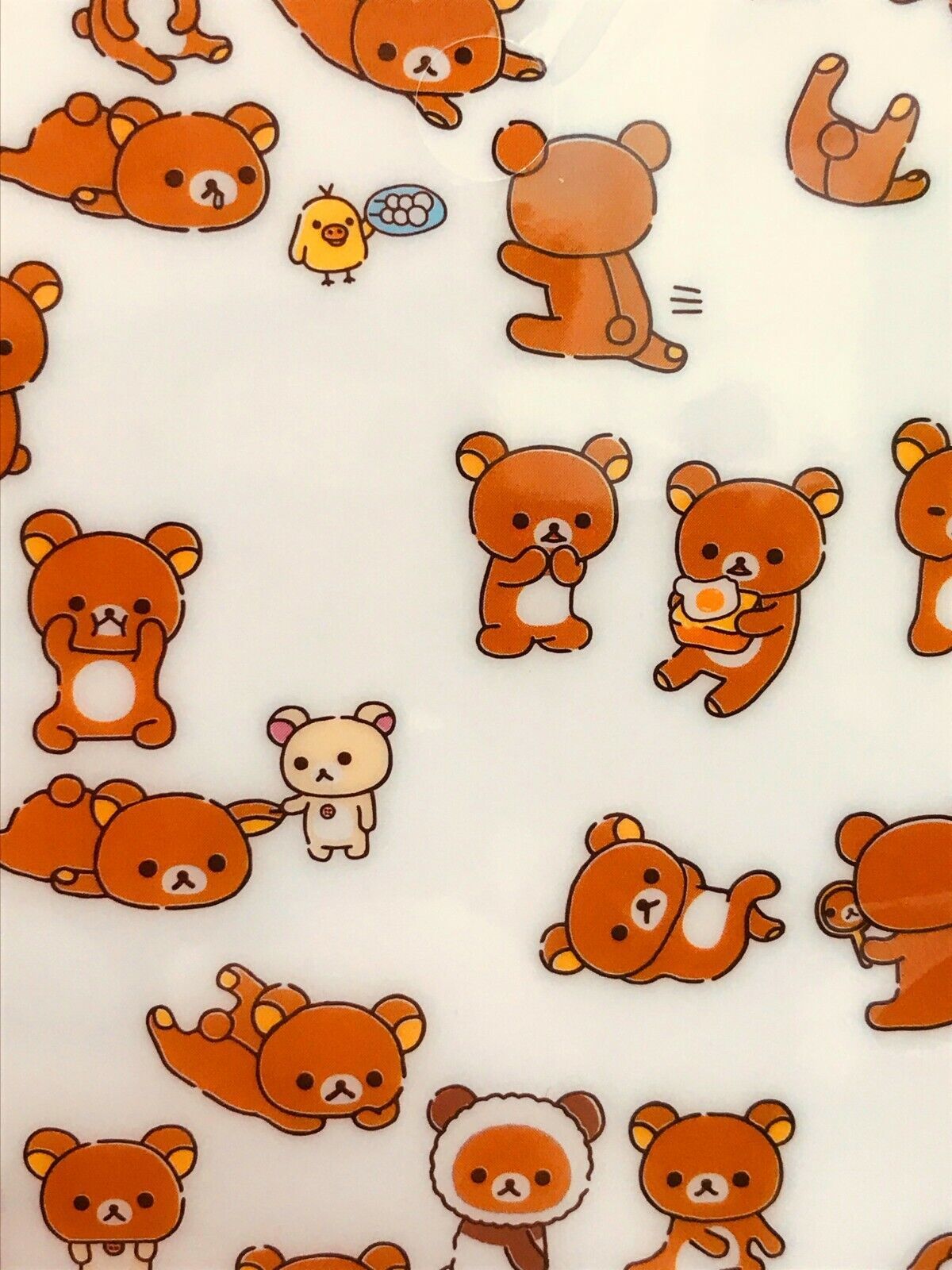 San X Rilakkuma Clear File Folder 6 Pocket With Zipper Kiiroitori Japan Anime