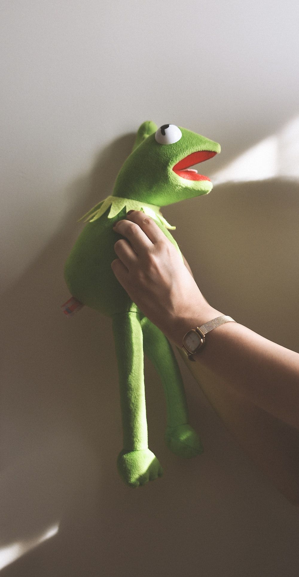 A person holding up the muppet stuffed animal - Kermit the Frog