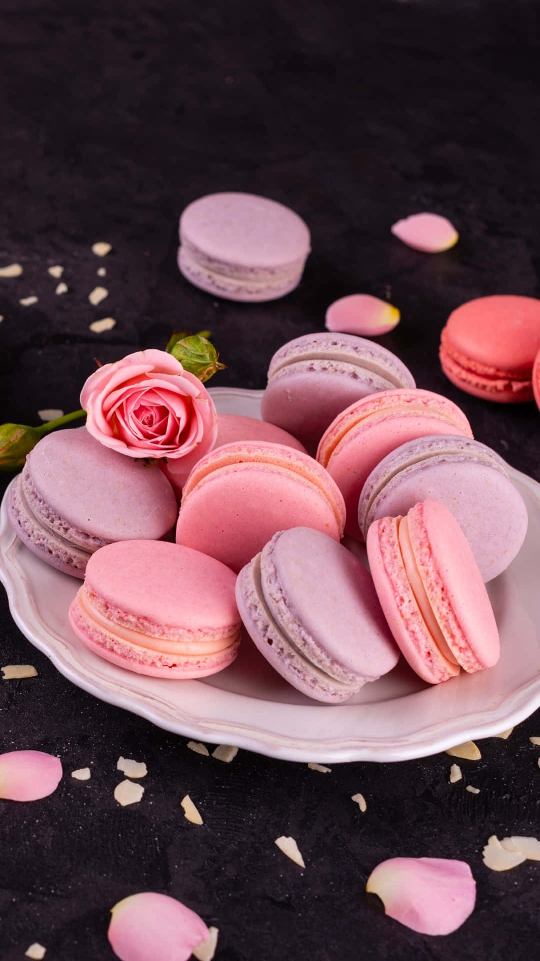 Macarons on a plate with a rose on a black background - Macarons