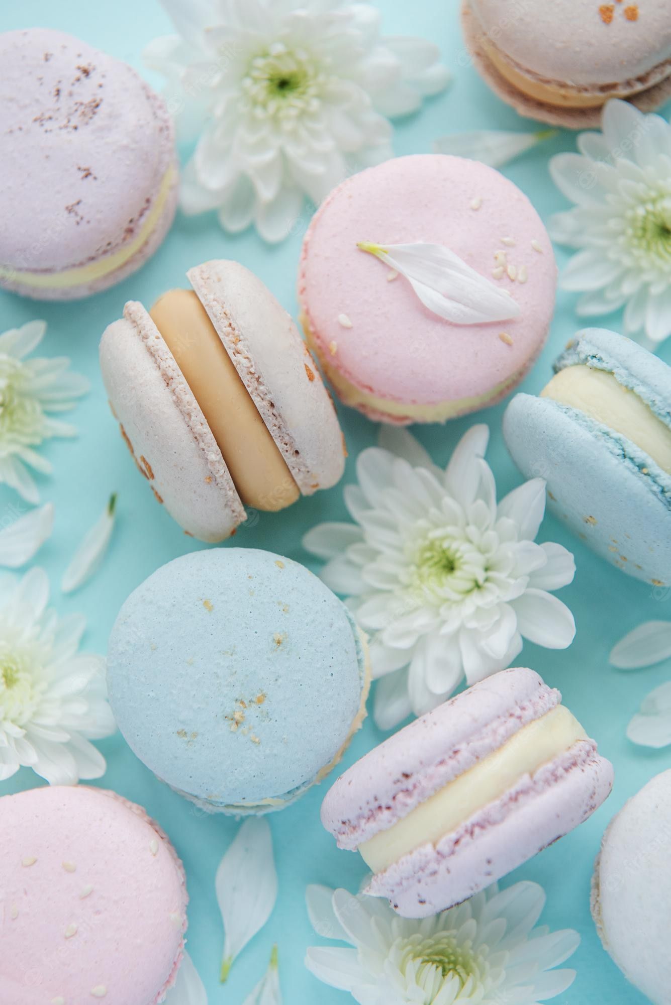 A group of macarons with flowers on the table - Macarons