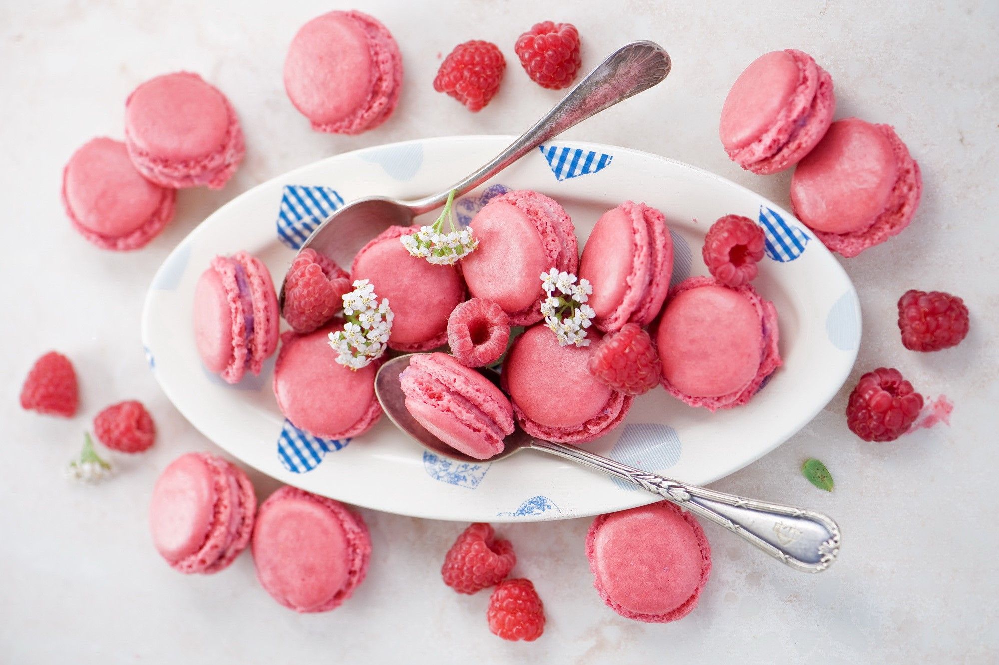 A plate of macaroons with raspberries and flowers - Macarons