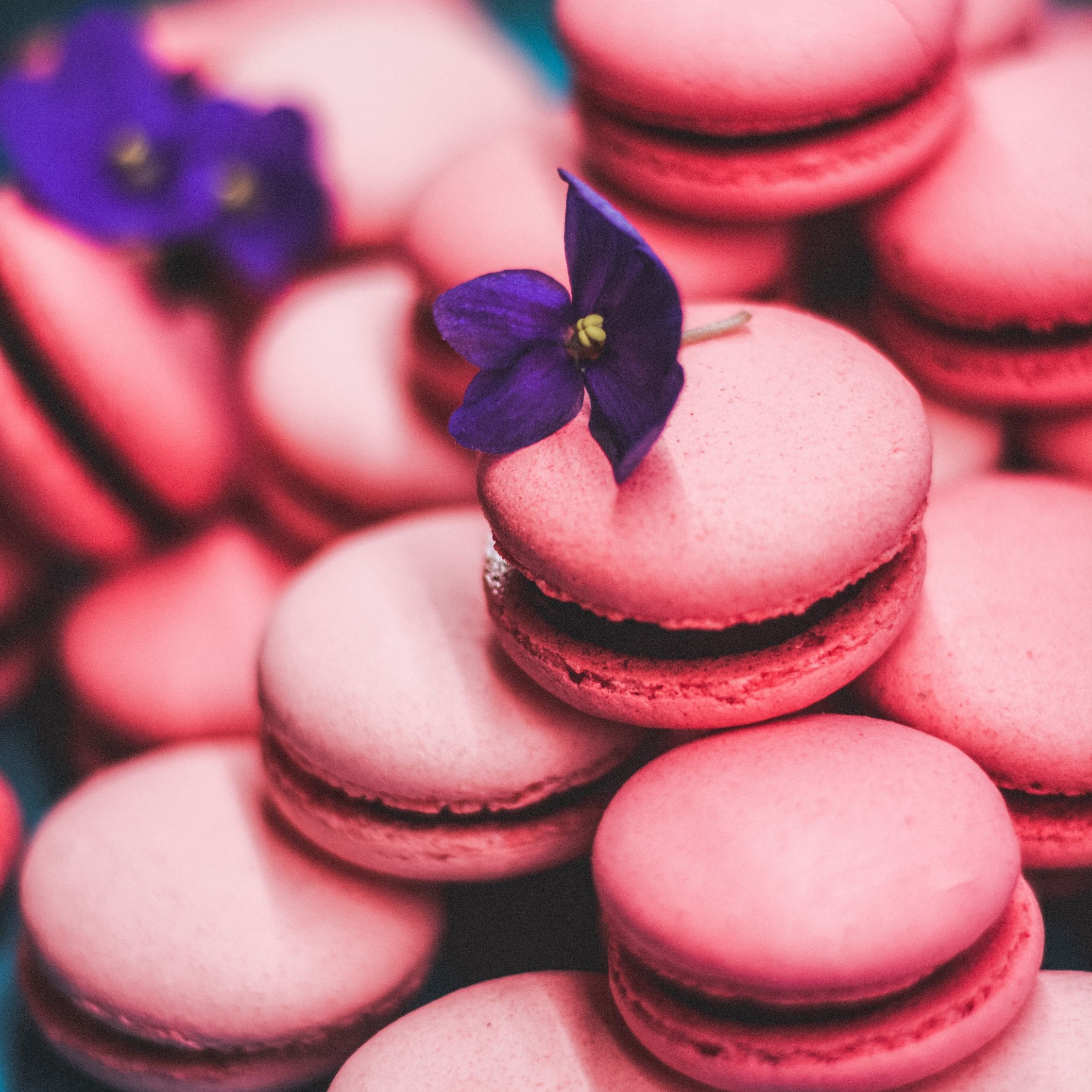 A stack of pink macaroons with purple flowers - Macarons