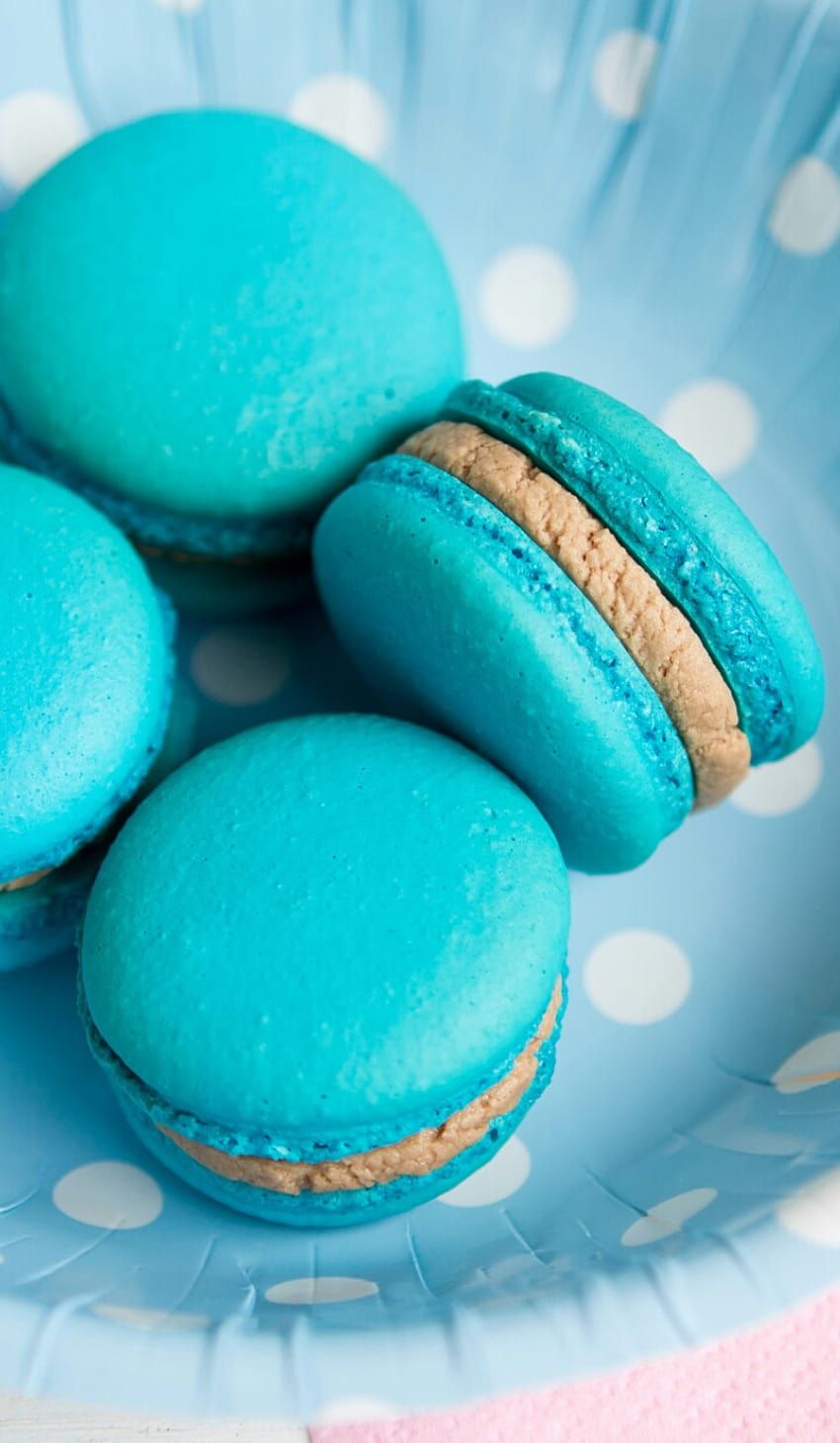 Blue macarons with a peanut butter filling in a blue bowl with white polka dots. - Teal, macarons