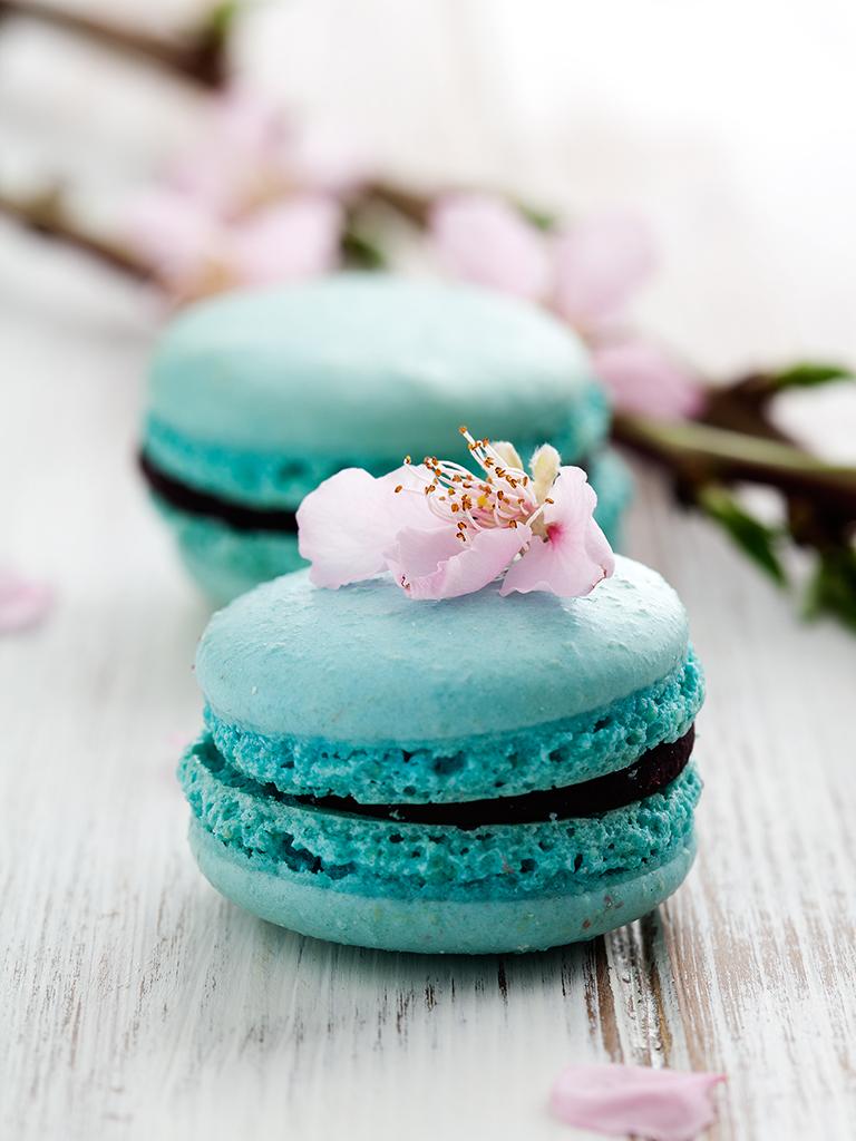 A blue macaron with a flower on top - Macarons