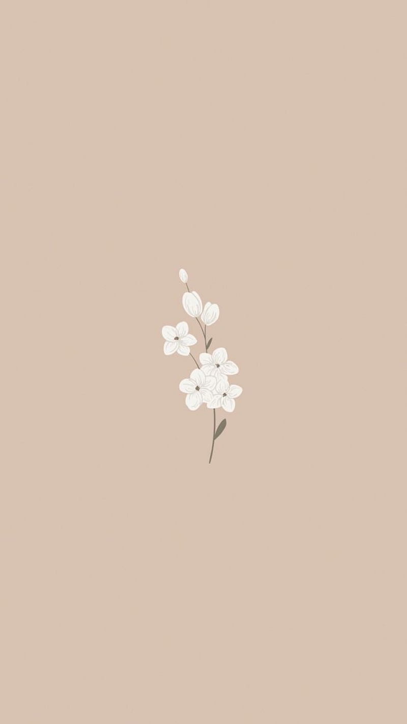 A white flower is on top of the brown background - Vector