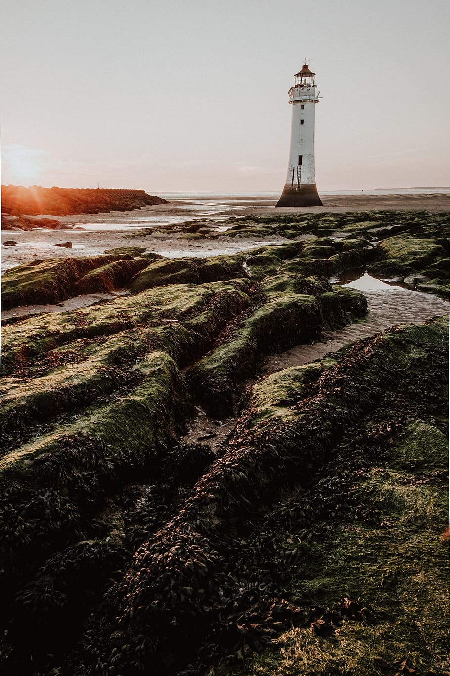 A lighthouse on a rocky coast with green moss - Coast