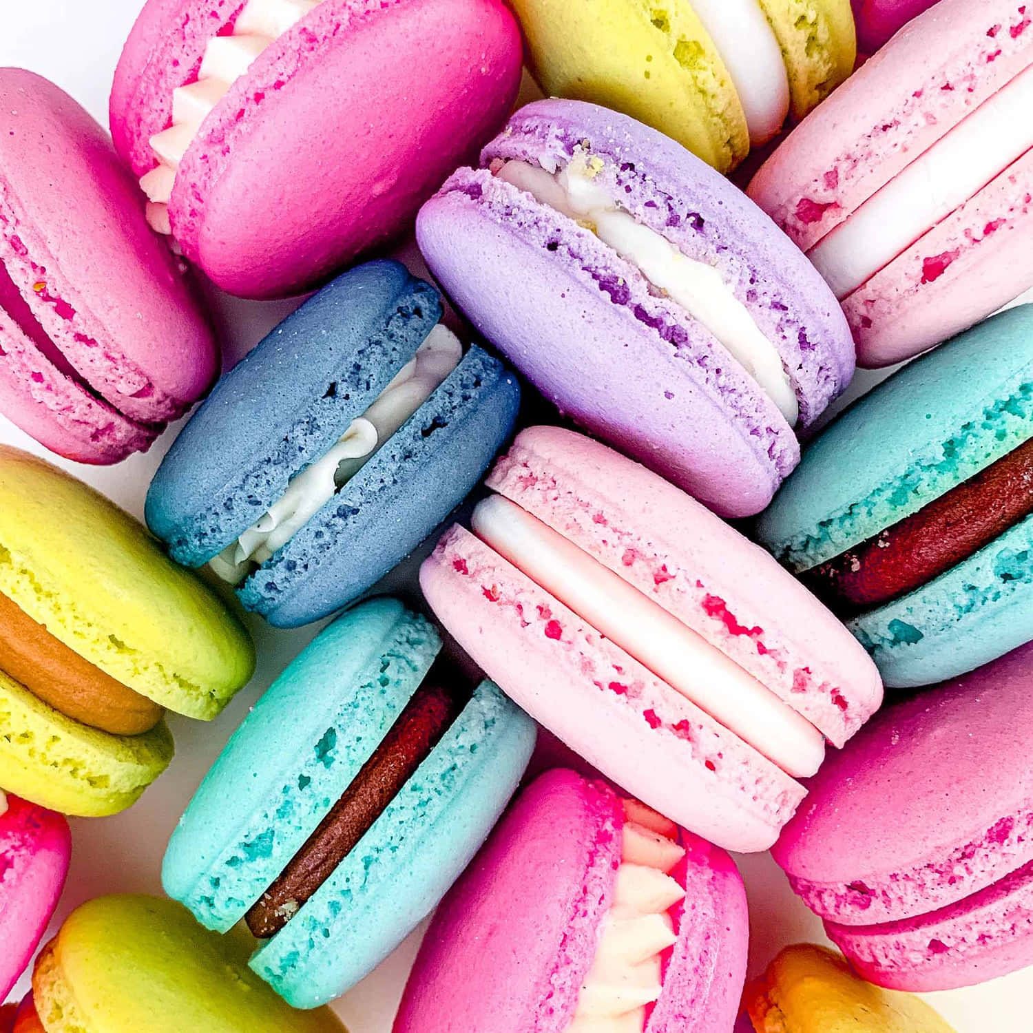 Colorful macarons on a white background - Macarons