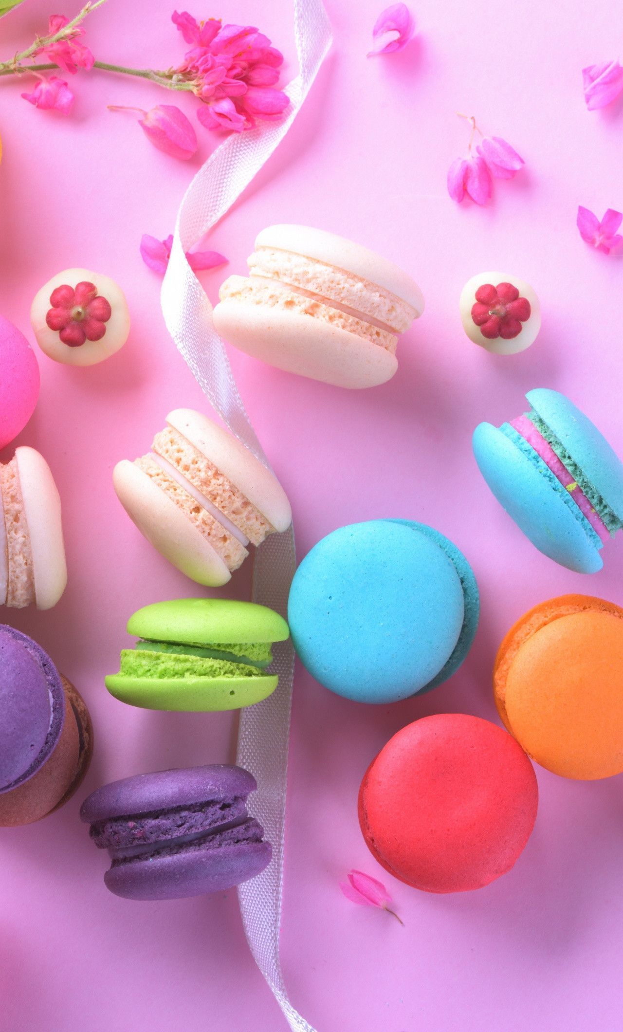 Colorful macarons on a pink background - Macarons