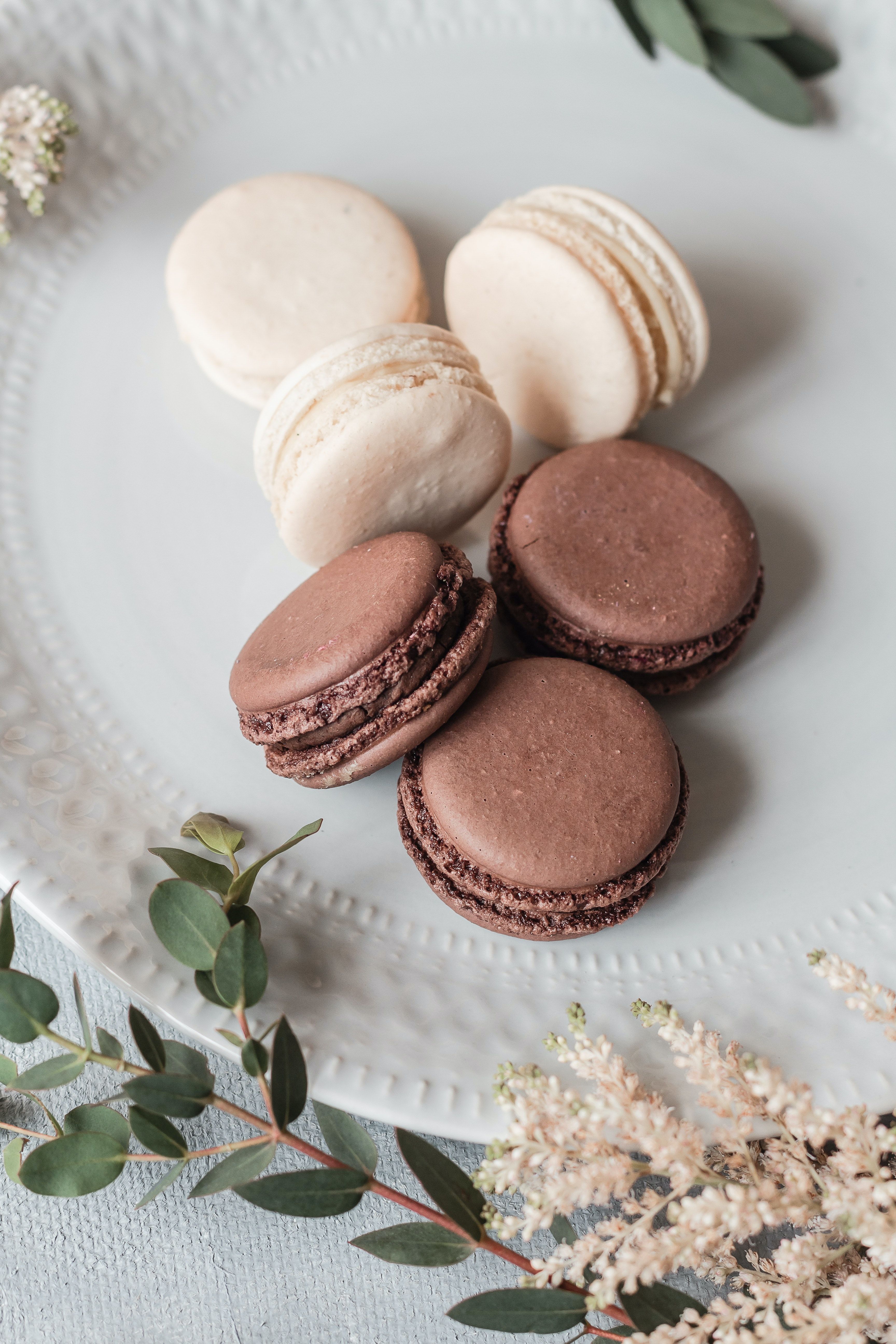 French Macarons Photo, Download The BEST Free French Macarons & HD Image