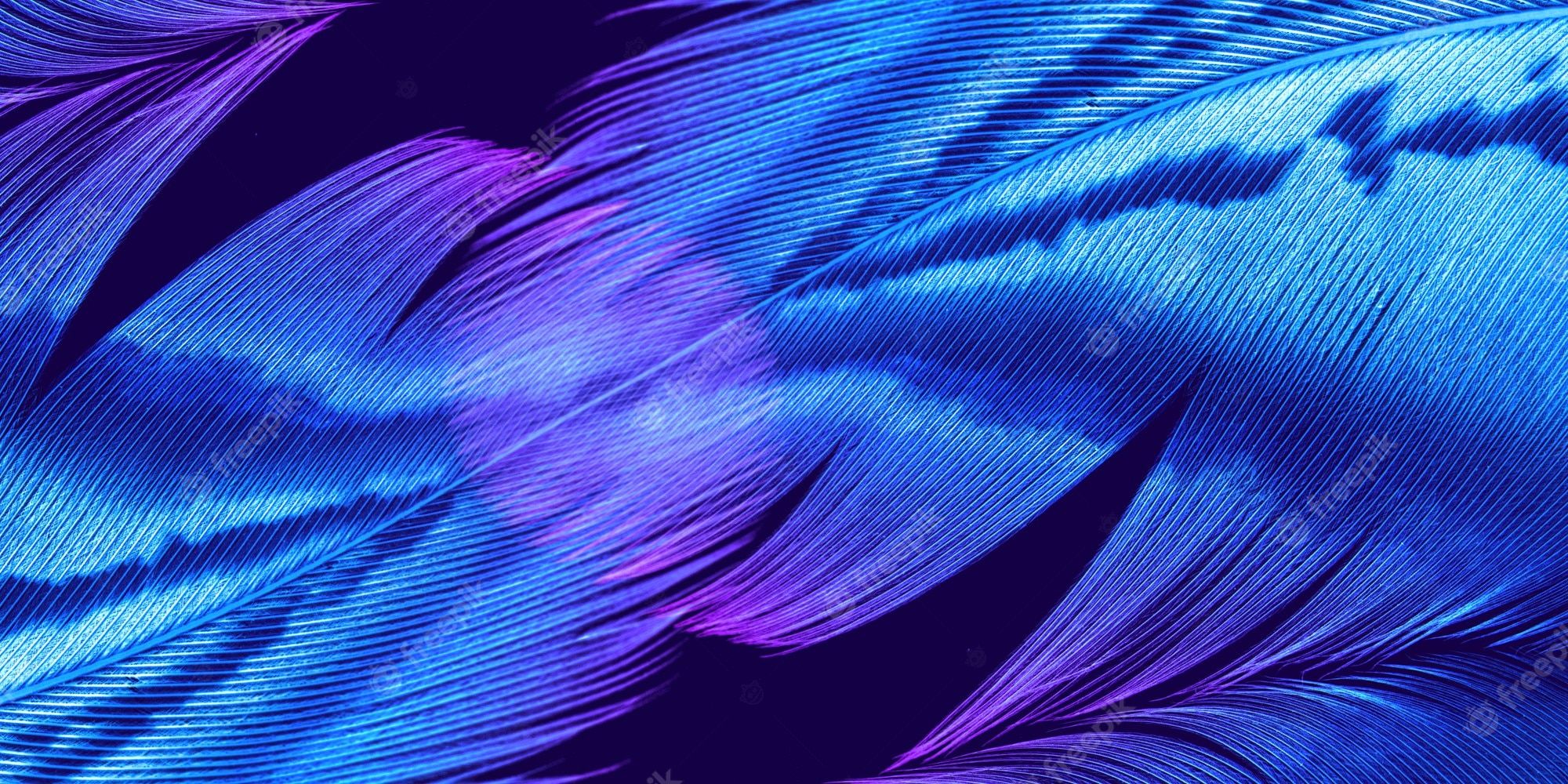 Blue and purple feathers on a black background - Dark vaporwave