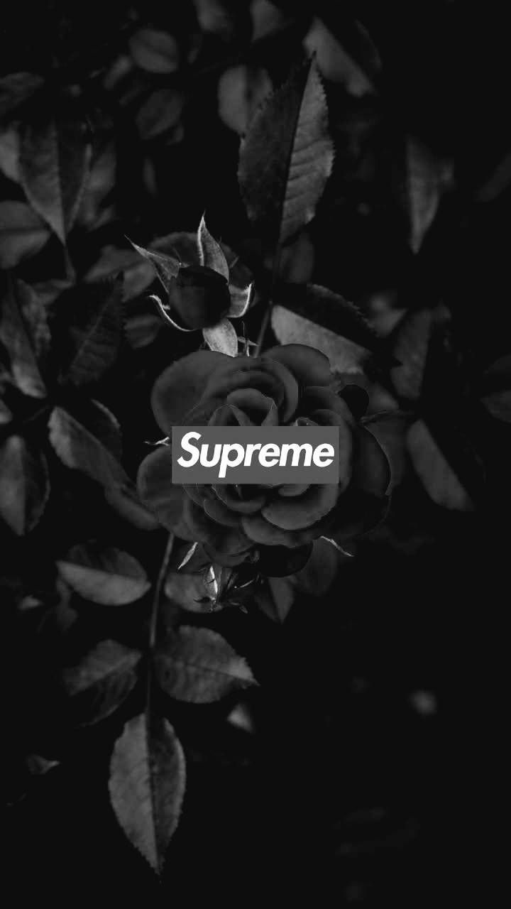 Black and white rose Supreme wallpaper for iPhone and Android - Supreme