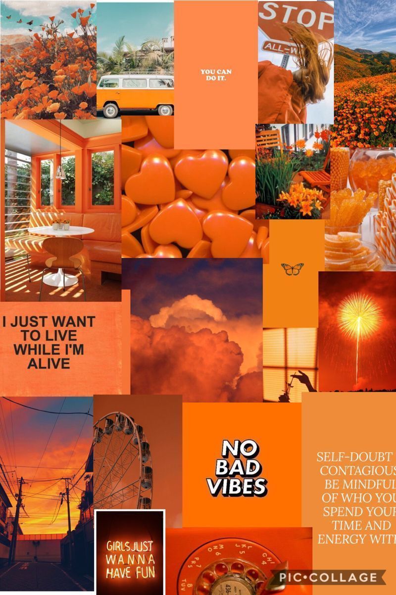A collage of orange and yellow pictures - Orange