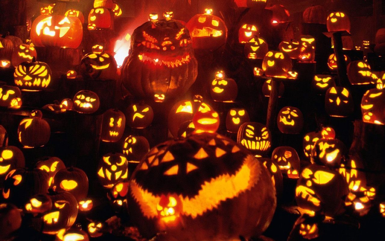 A large group of pumpkins with lit up faces - Pumpkin