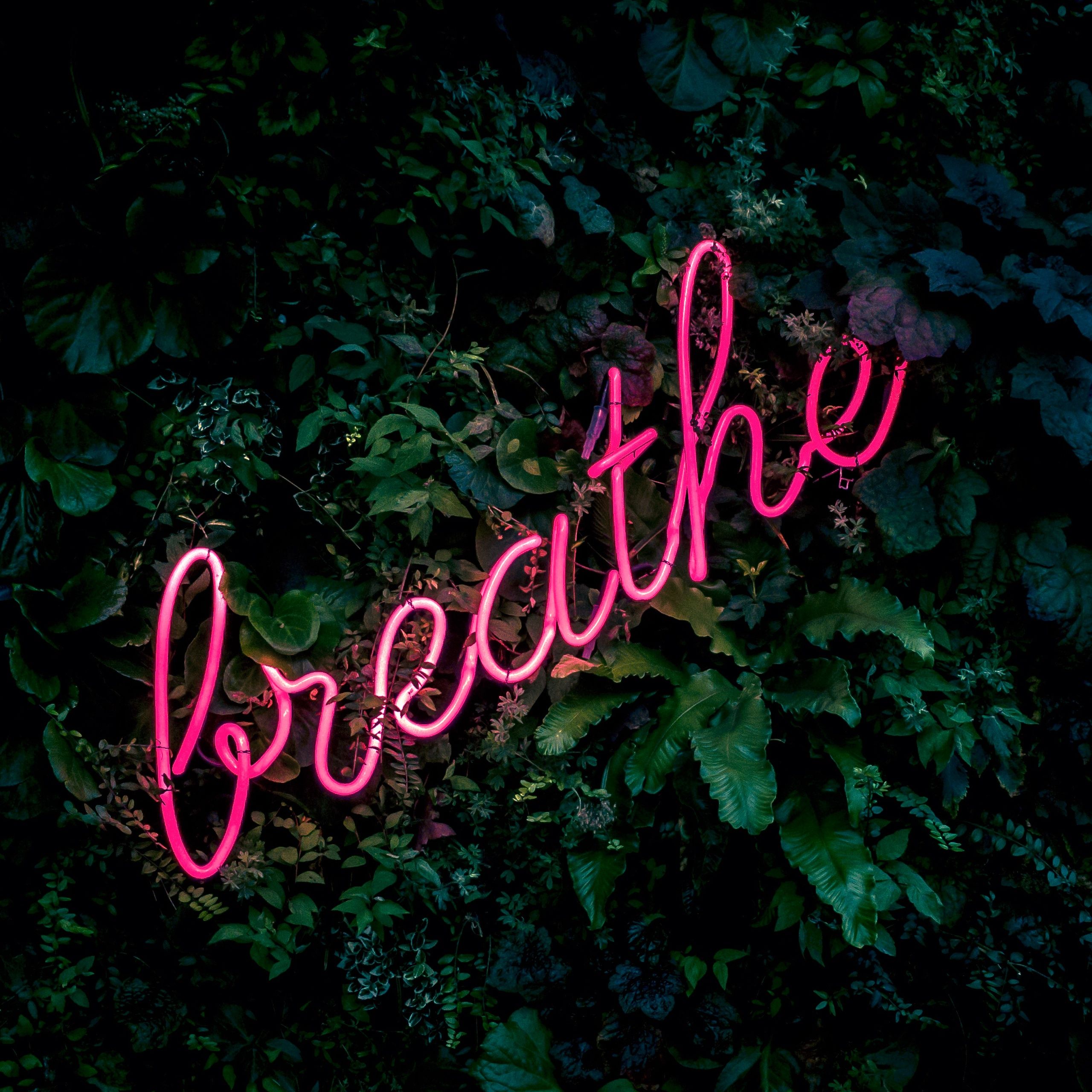 Breathe Wallpaper 4K, Neon sign, Quotes