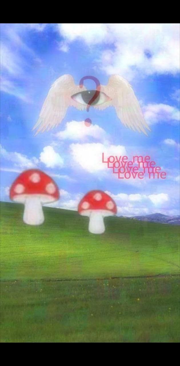 Love me or leave - Weirdcore