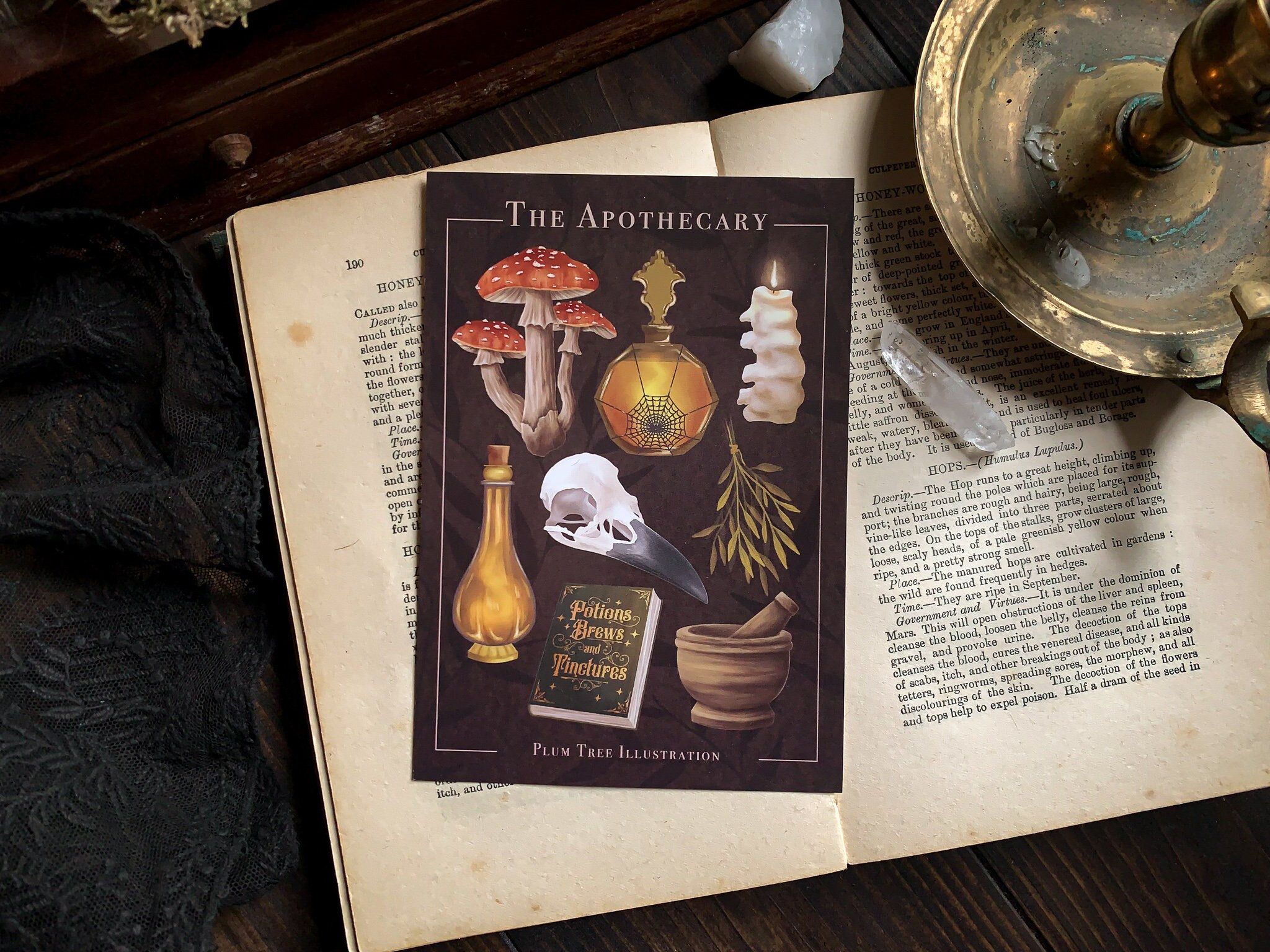 The Apothecary, illustrated tarot card by Plum Tree Illustration - Witchcore