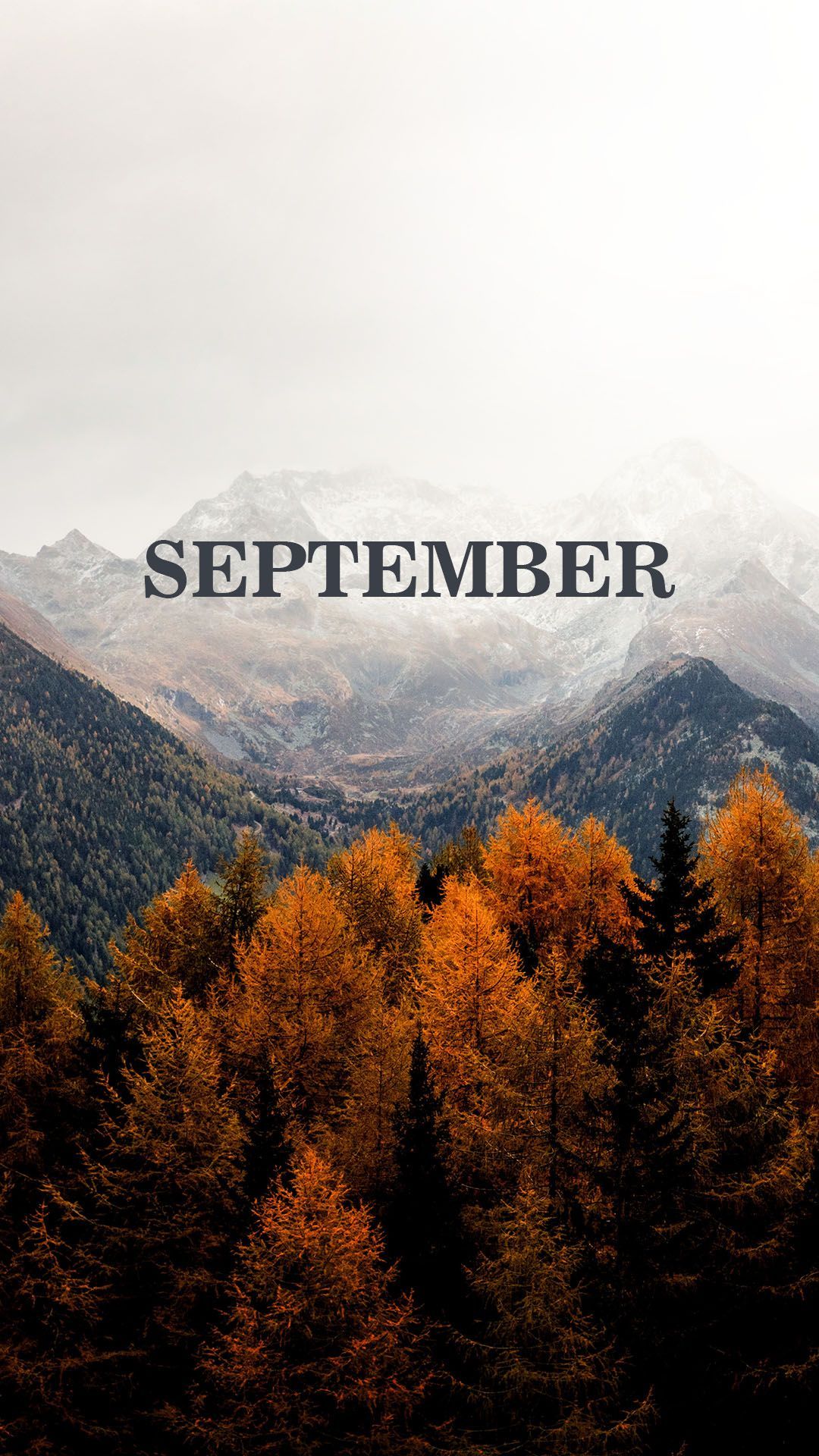 September Feels ideas. september, months in a year, hello september