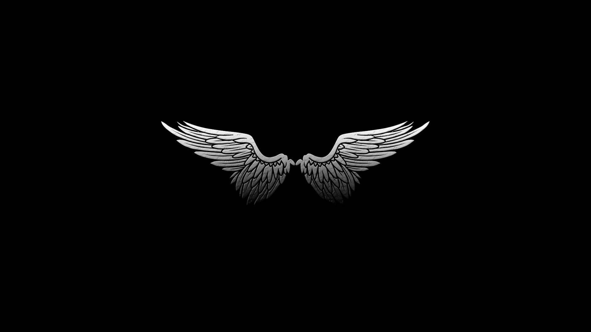 Two silver wings on a black background - Wings
