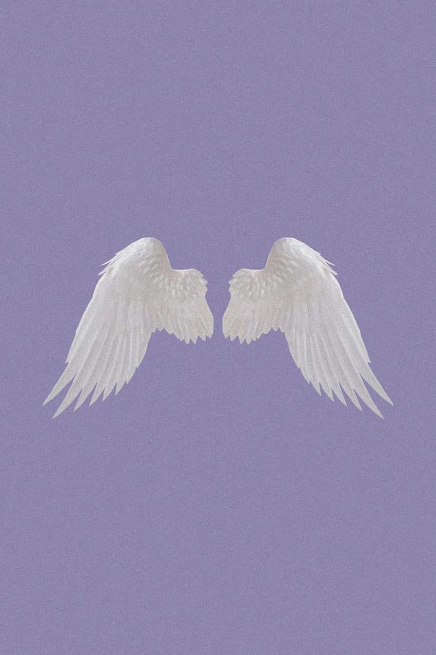 A pair of white wings on a purple background - Wings