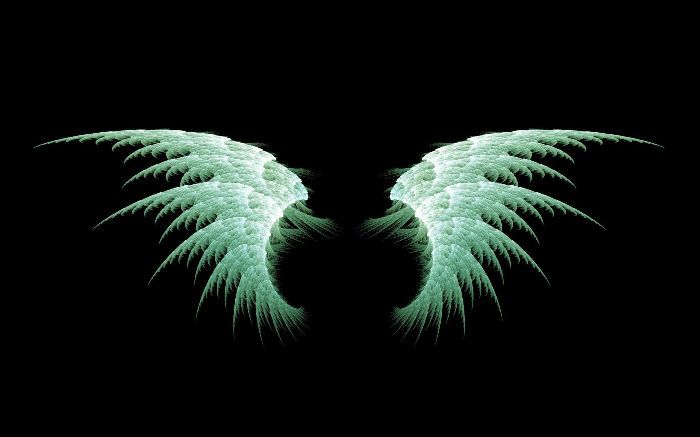 A pair of green wings on black background - Wings