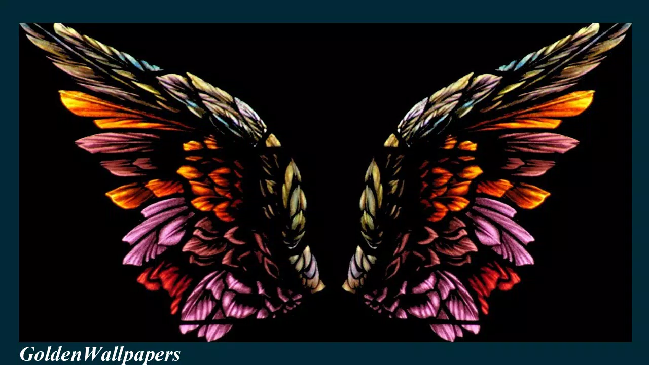 A pair of colorful wings on black background - Wings