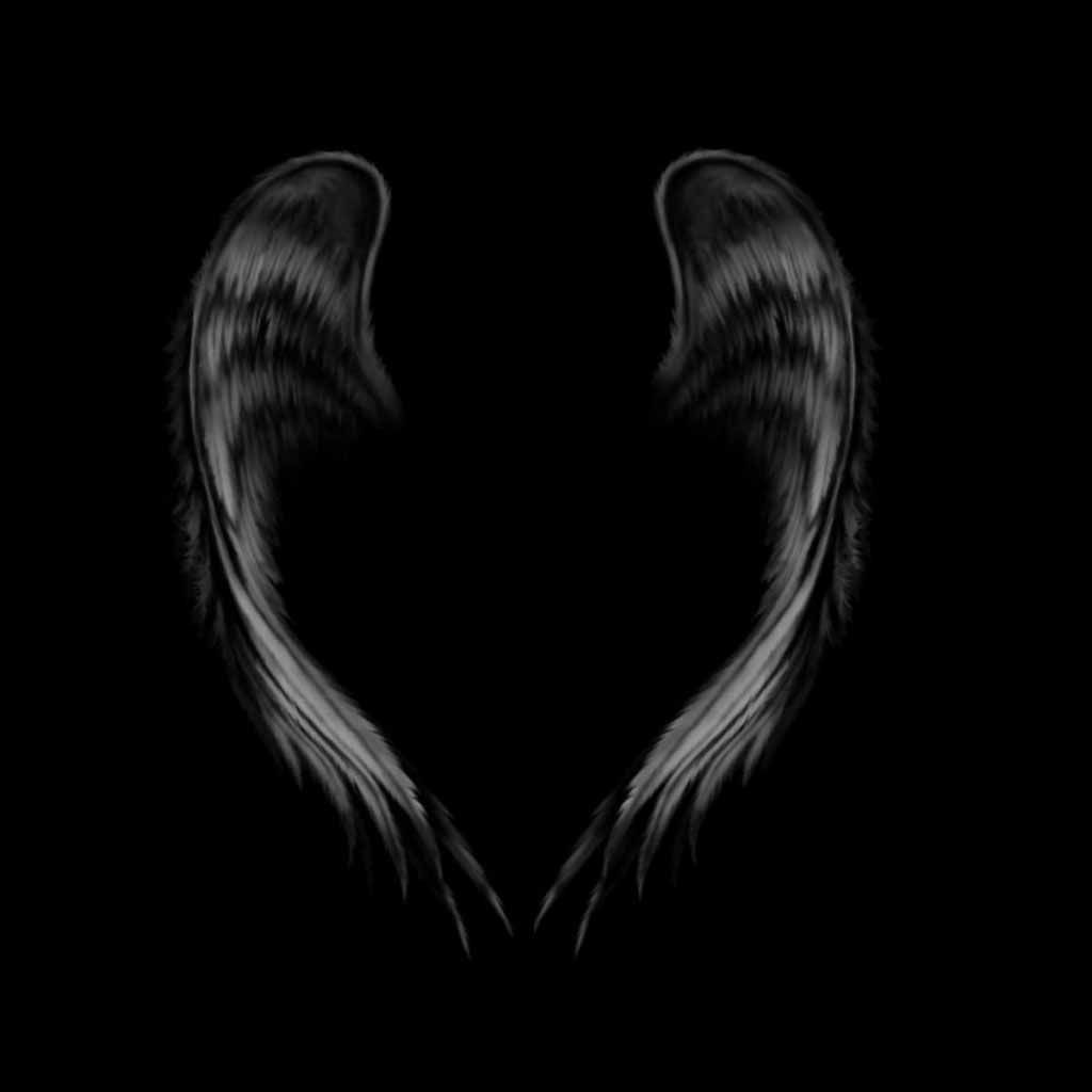 Black wings on a dark background - Wings